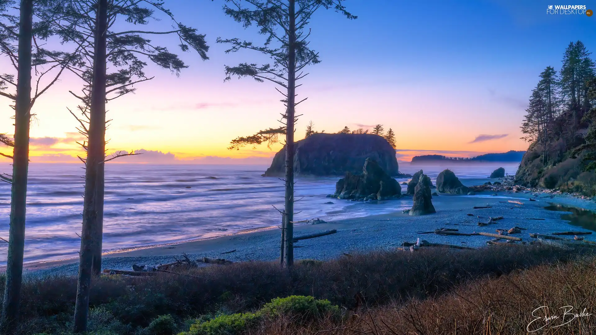 Washington State, The United States, Olympic National Park, Beaches, trees, viewes, Great Sunsets, Islets, Ruby Beach