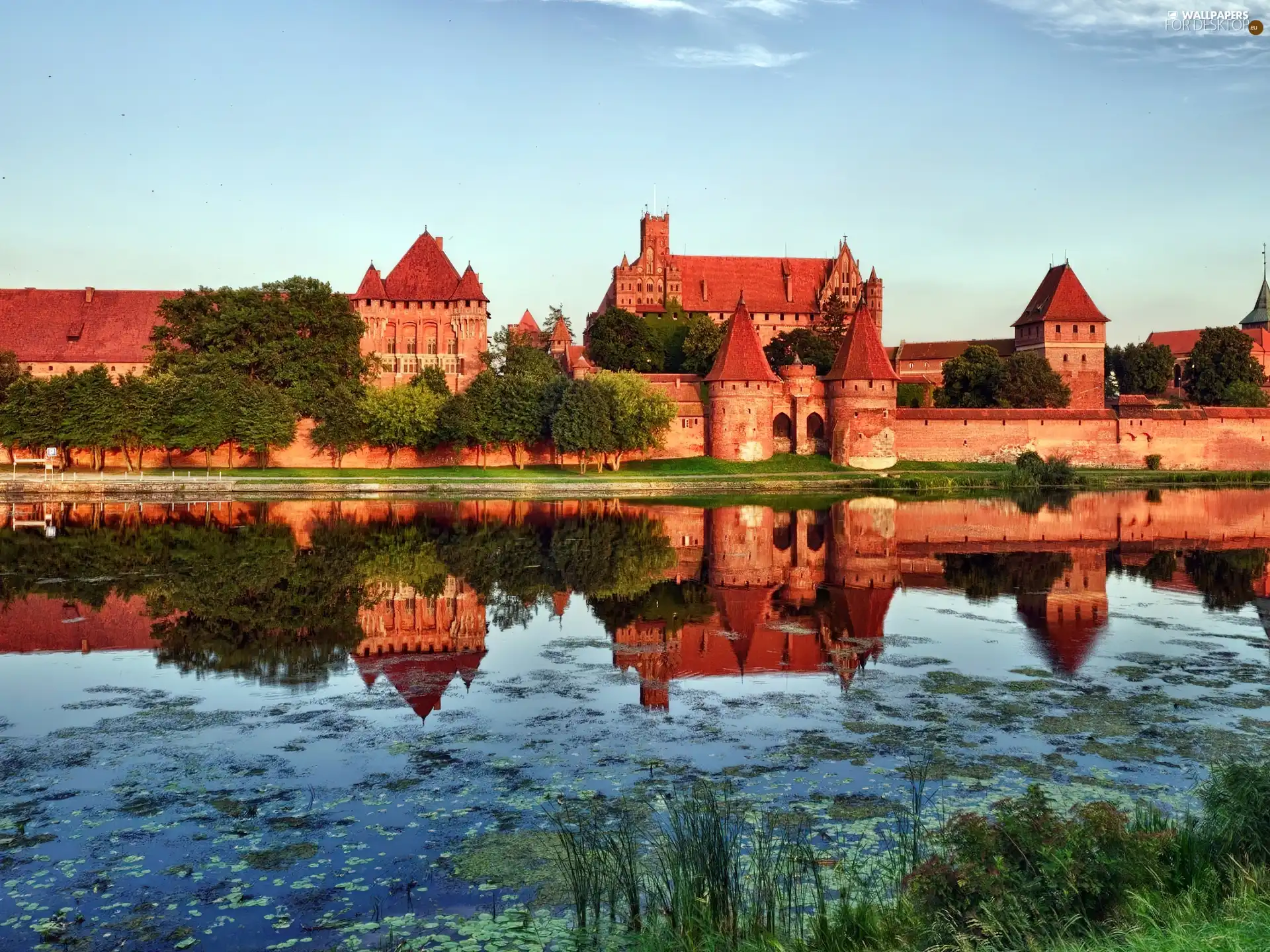 Castle, River, Nogat, Malbork