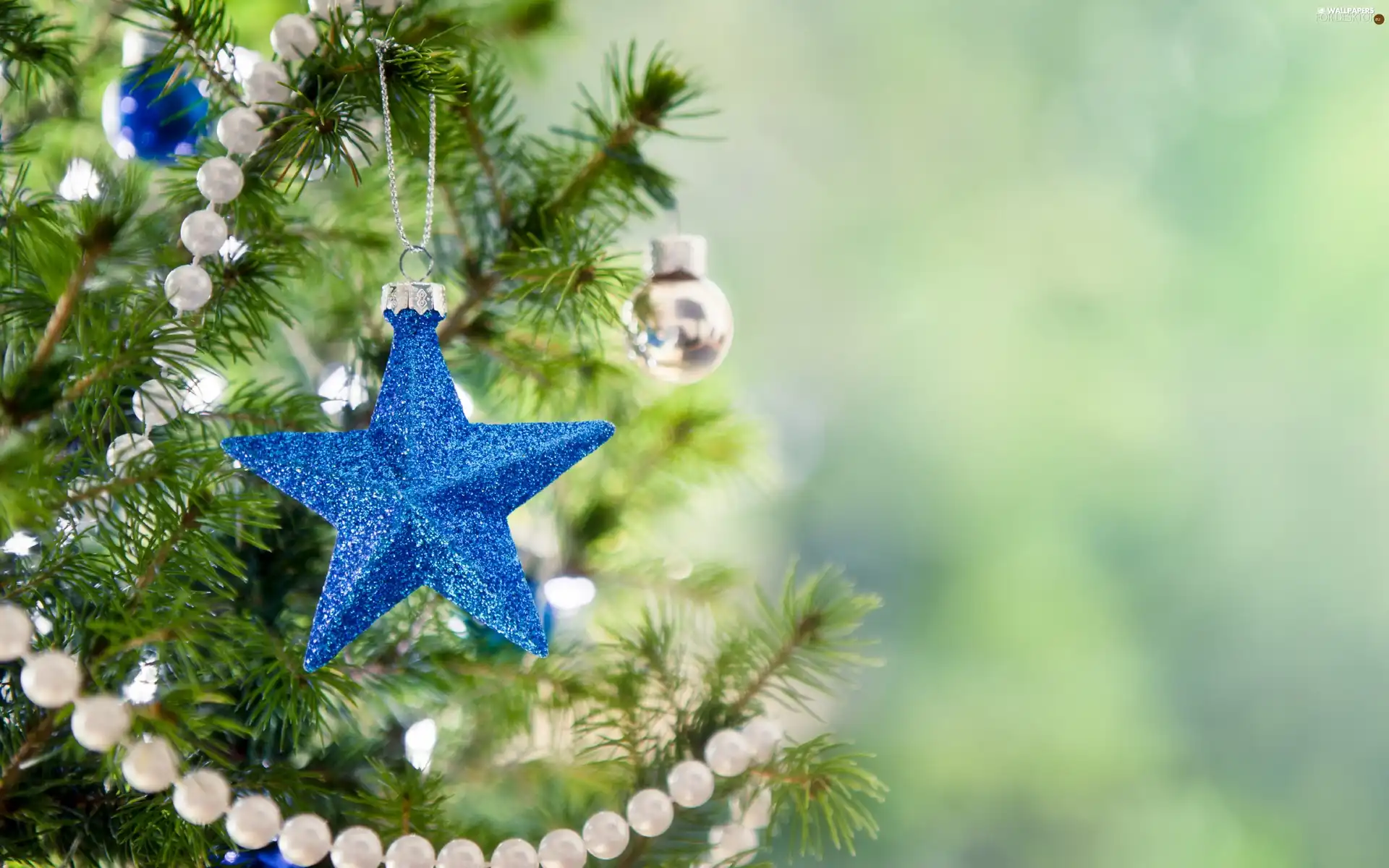 Christmas, star, ornamentation, christmas tree