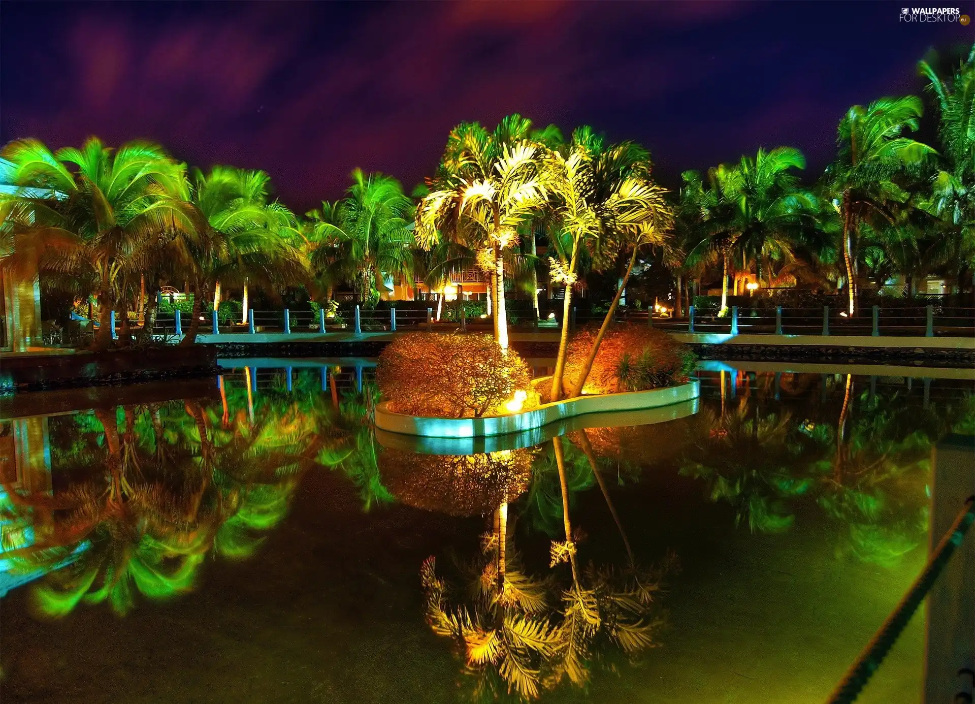 Palms, Night, Las Morles, Pool, Cuba