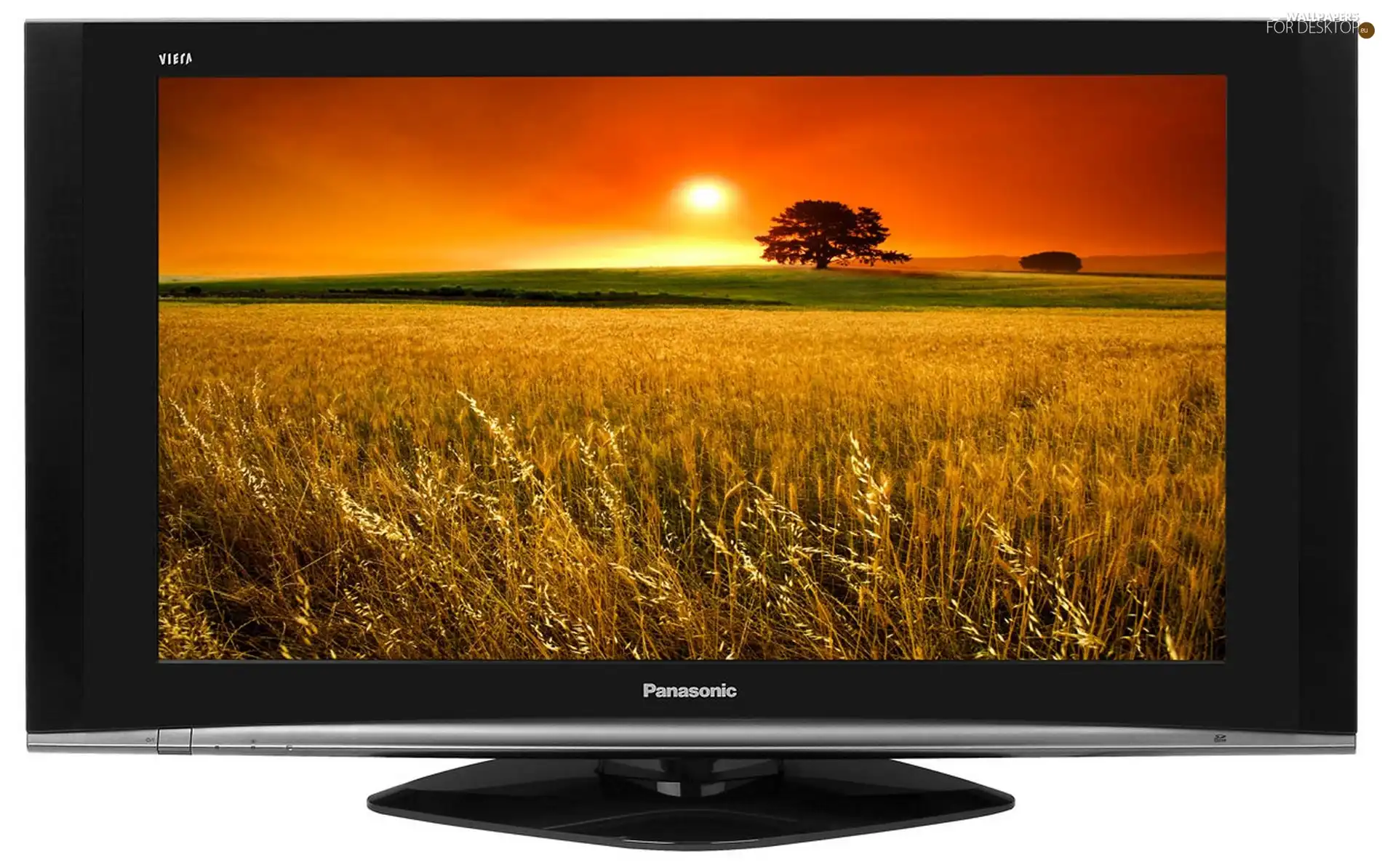 TV, Panasonic