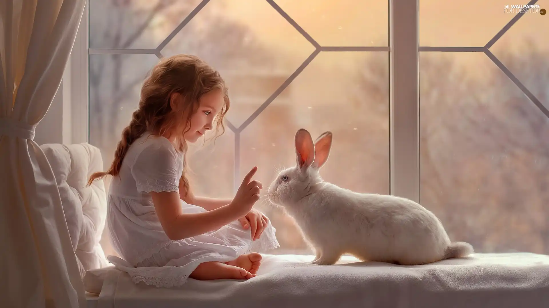 Window, parapet, White, Rabbit, girl