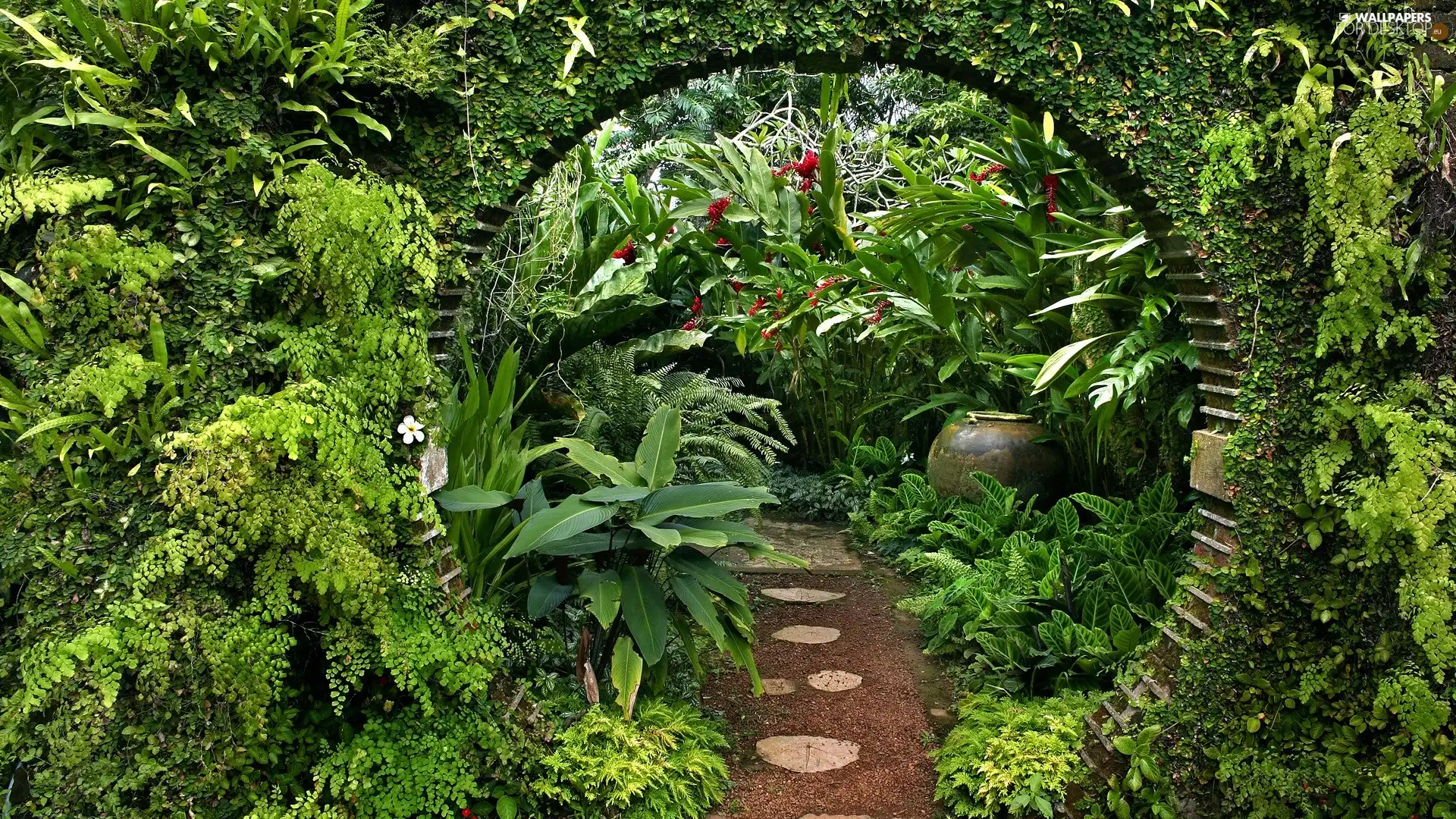 Path, Garden, green