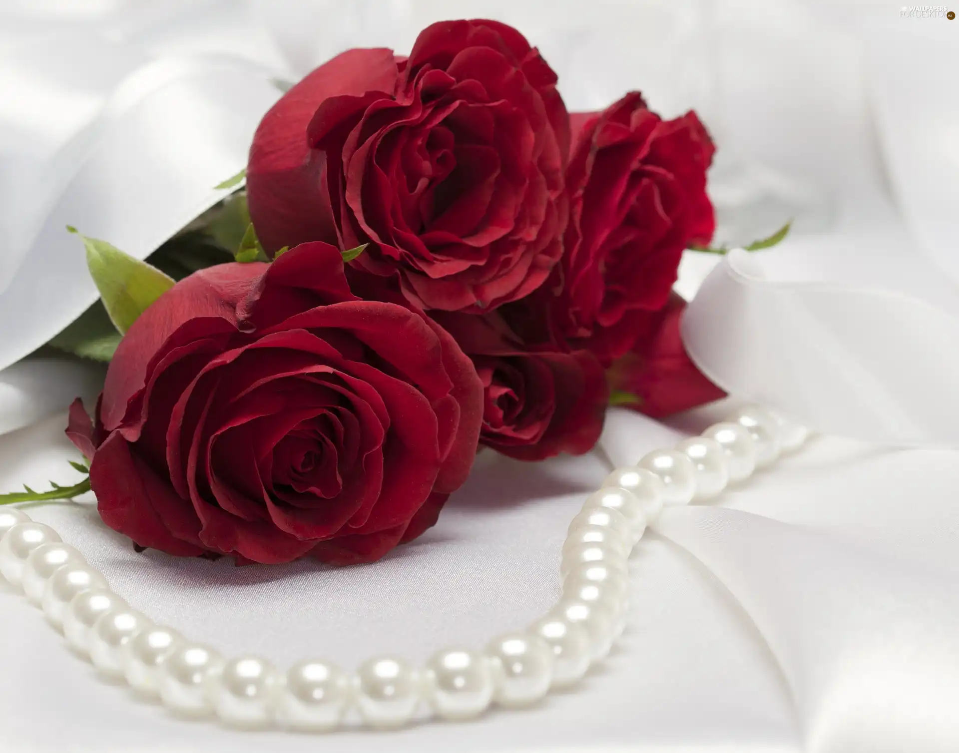 Pearl, Red, roses