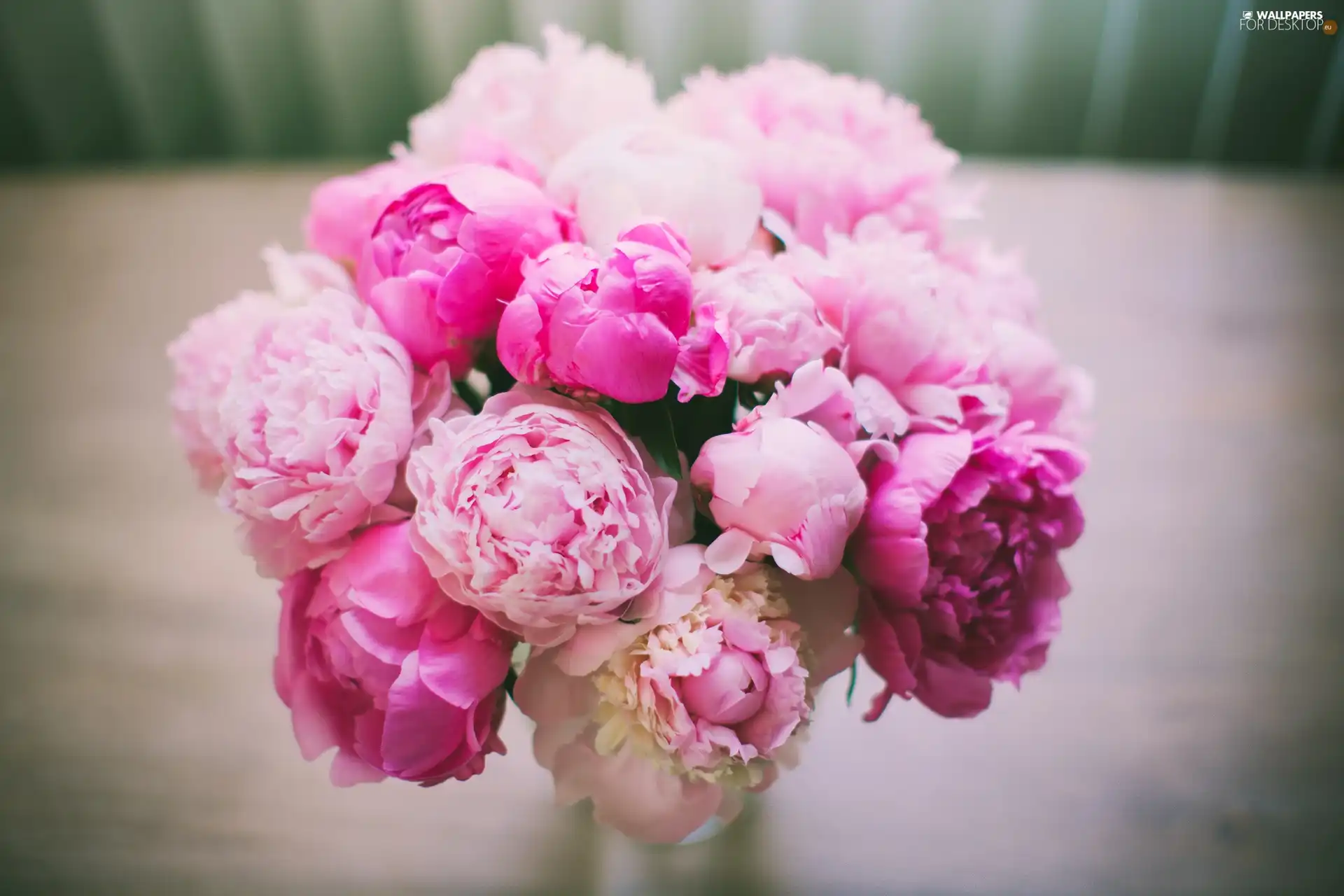 bouquet, Pink, Peonies, Flowers