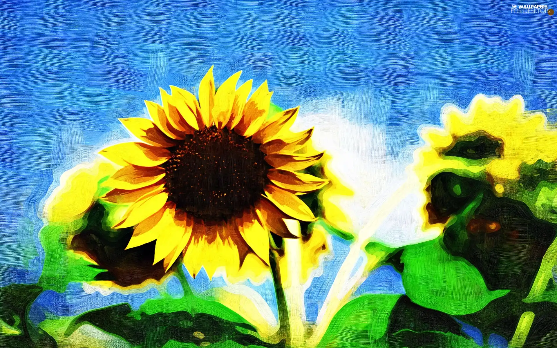 oil, Nice sunflowers, picture