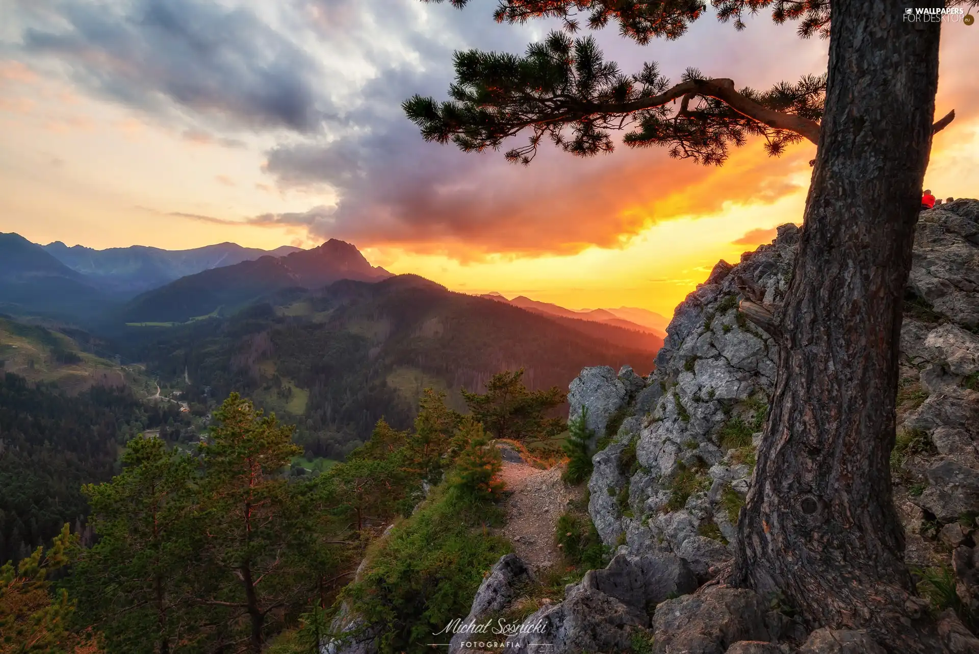 Mountains, Great Sunsets, pine, rocks, trees