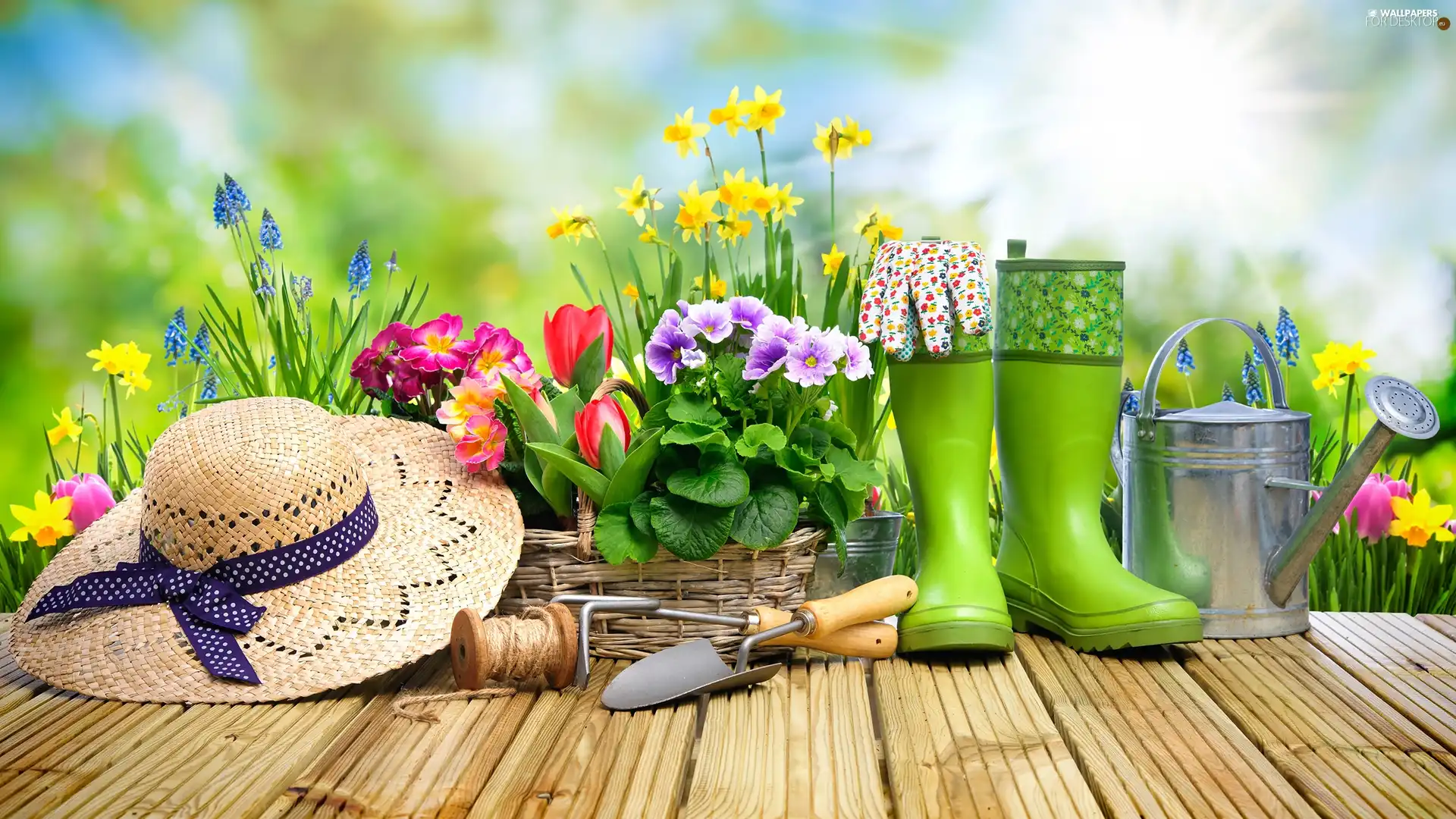 planting, Spring, flowers, tools, basket, watering can, Hat, primroses, wellingtons