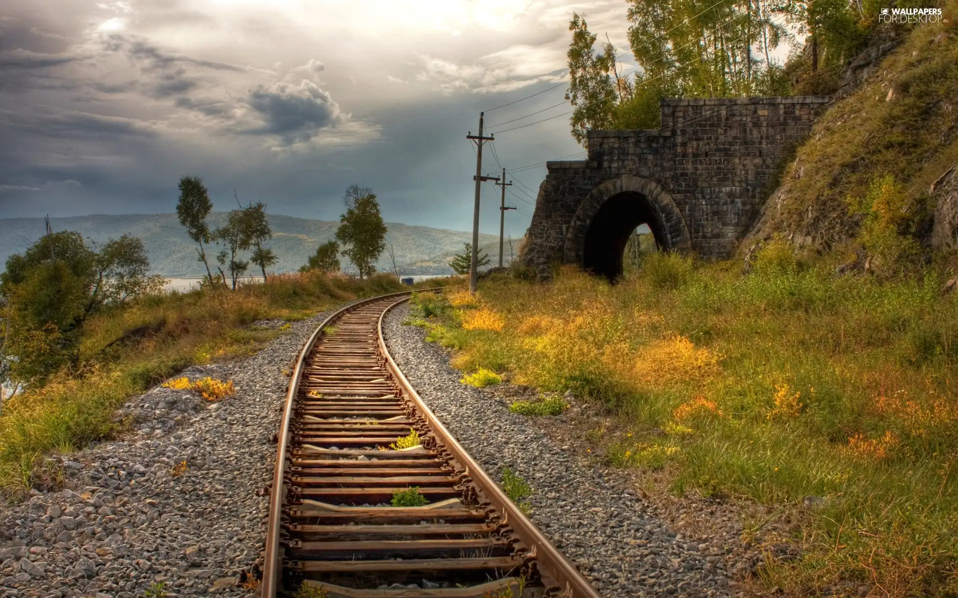 track, tunnel, Plants, railway