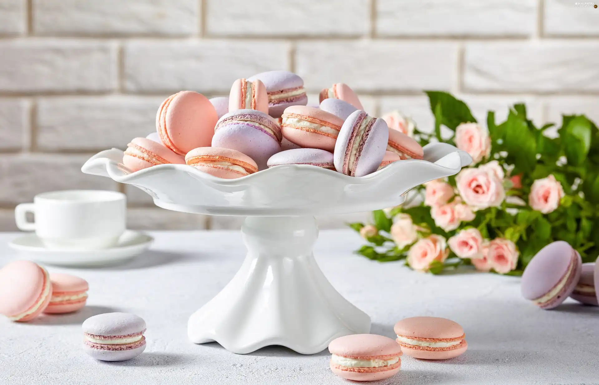 cup, cookies, bouquet, plateau, Macaroons, roses, blur