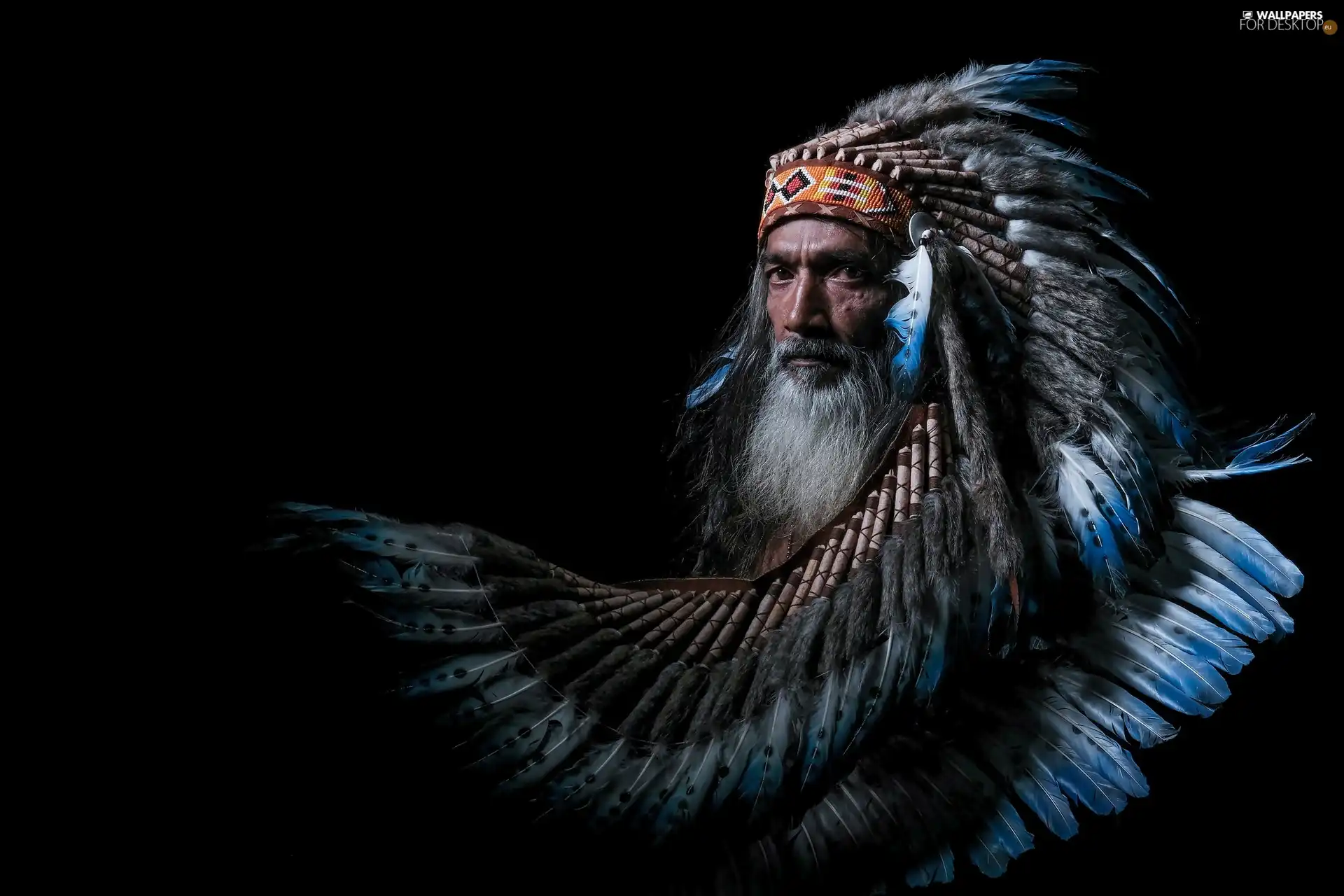 Indian, a man, plume