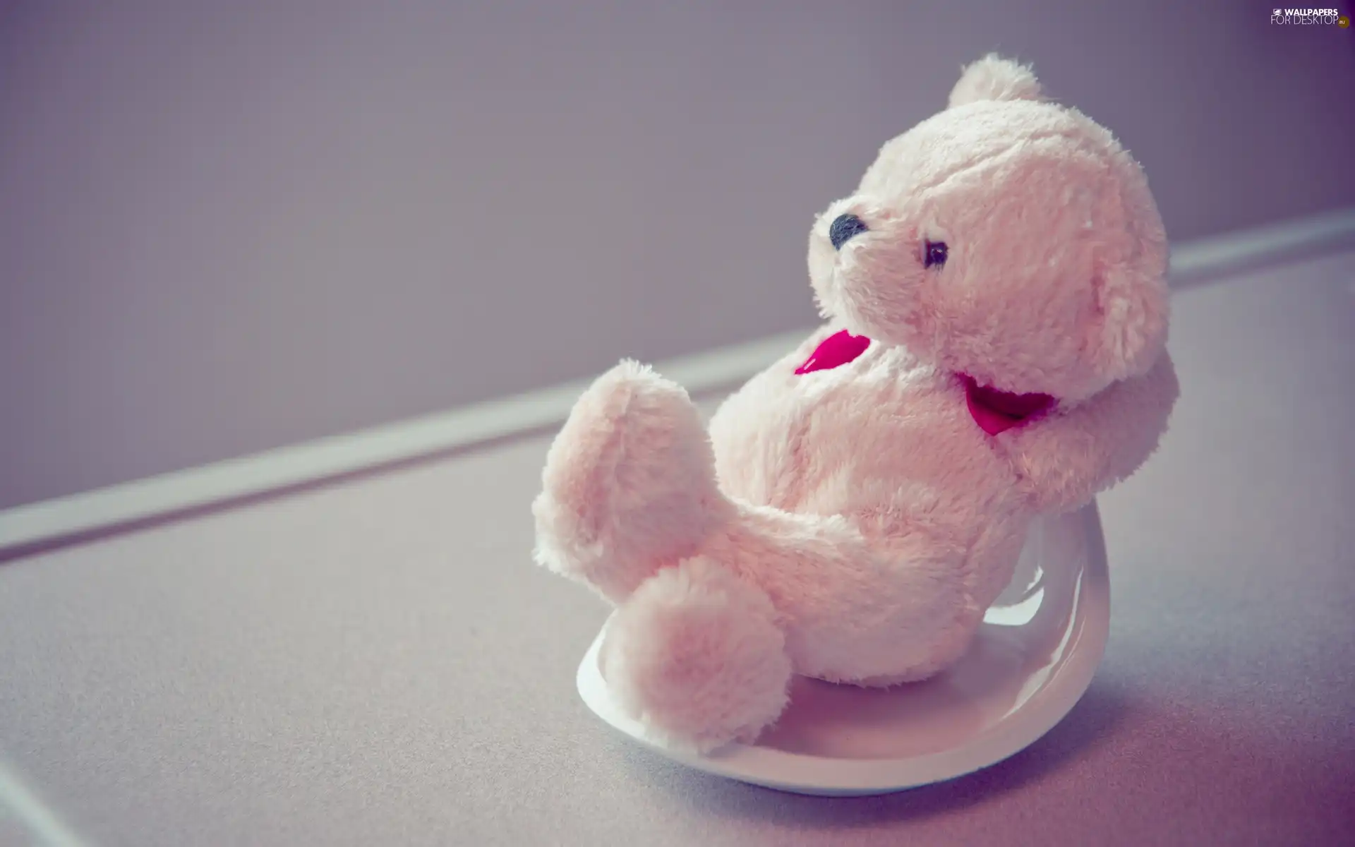 teddy bear, White, Plush