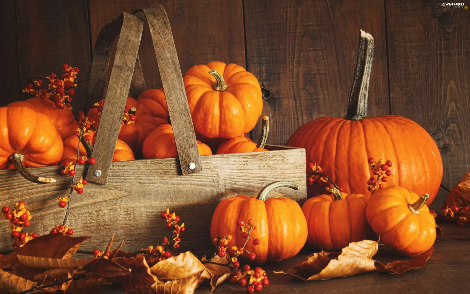 pumpkin, autumn, vegetables