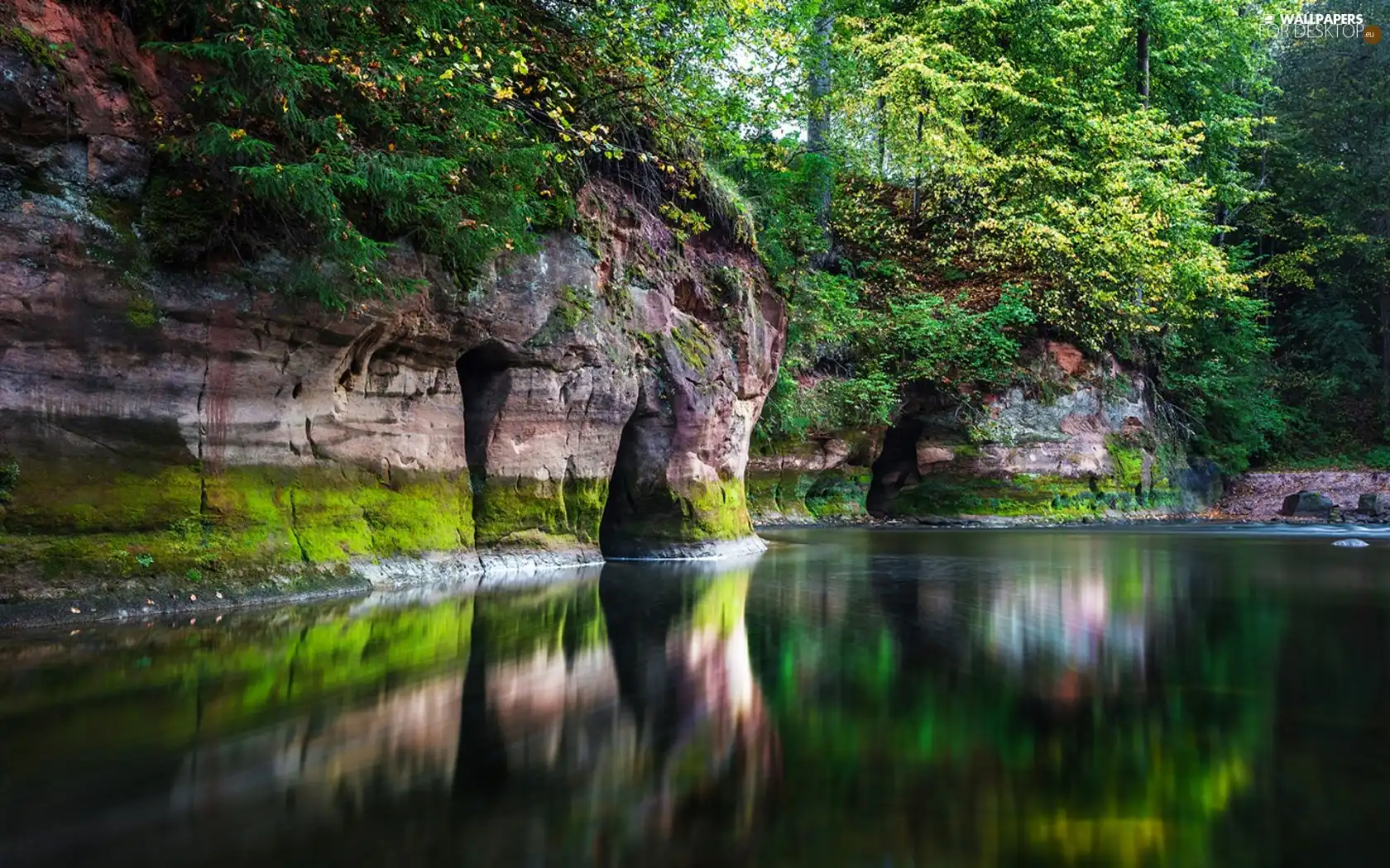 forest, River, reflection, rocks