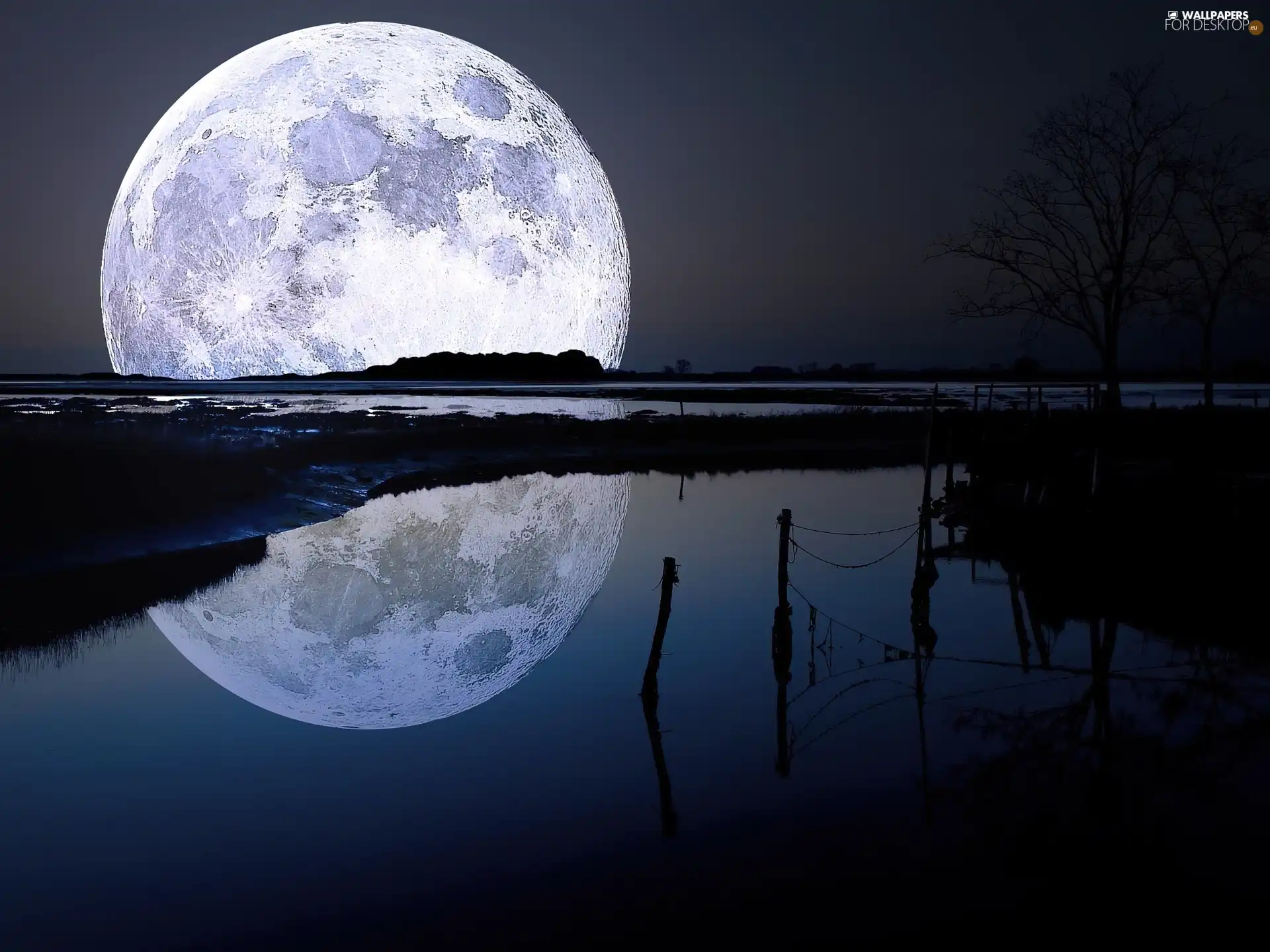 reflection, lake, moon