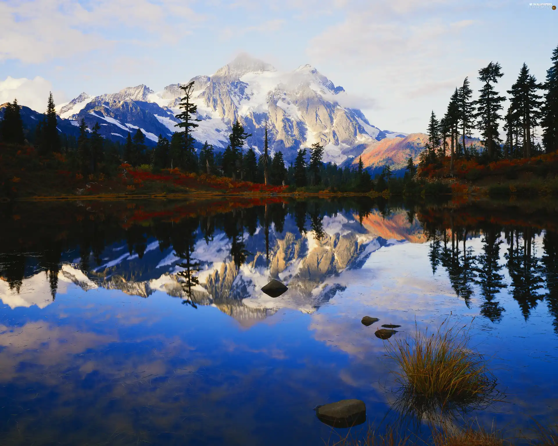 Mountains, lake, reflection, forest