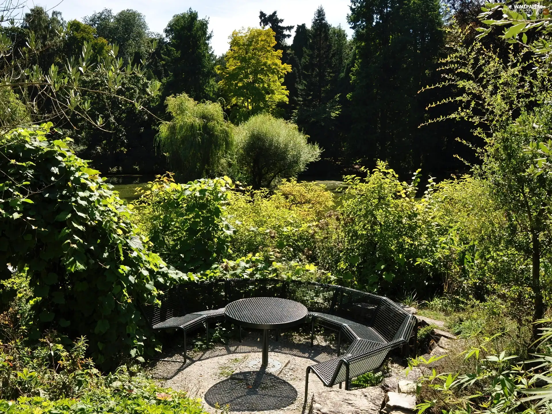 Garden, Bench, relaxation, green