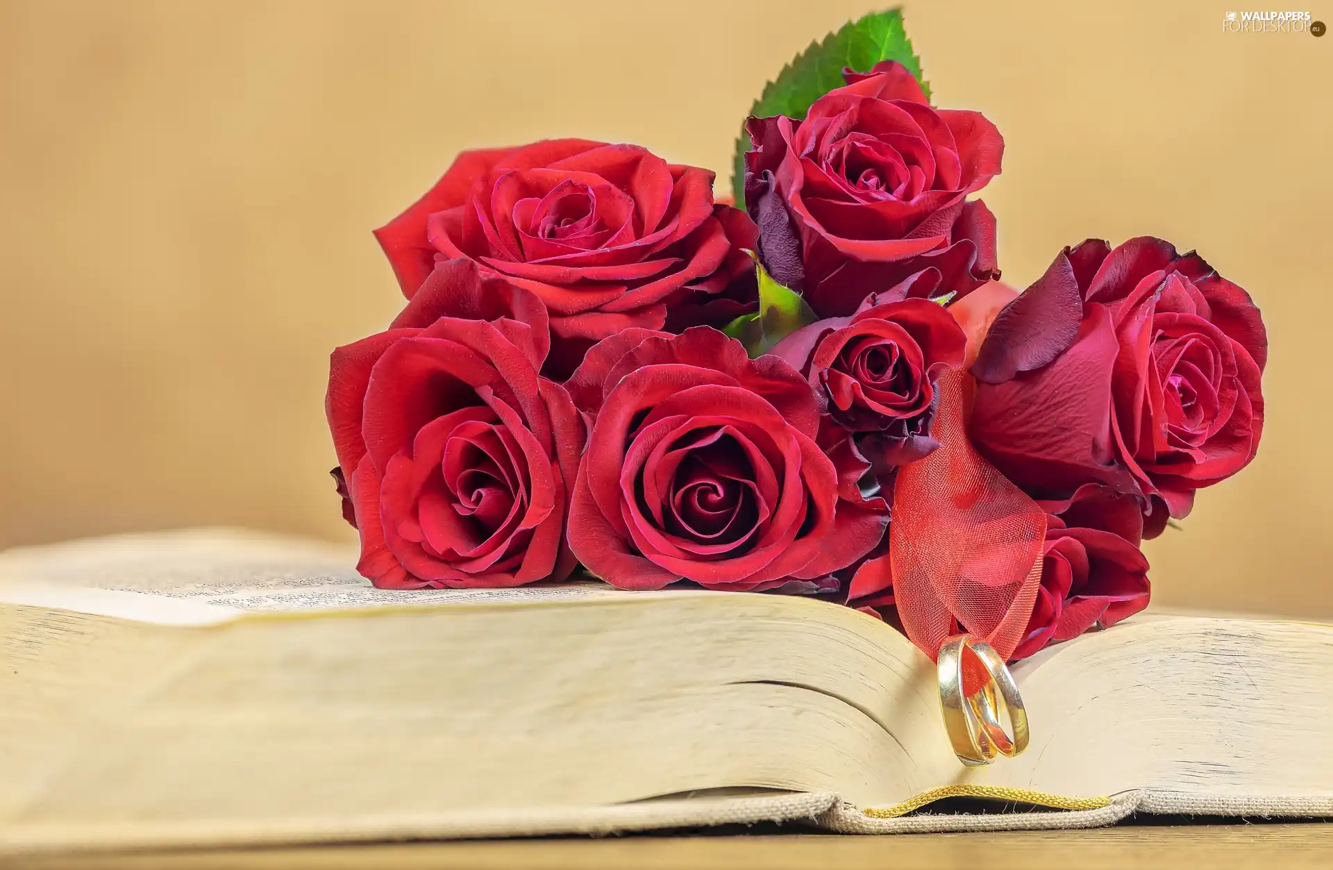 Book, rings, roses, Flowers, Red