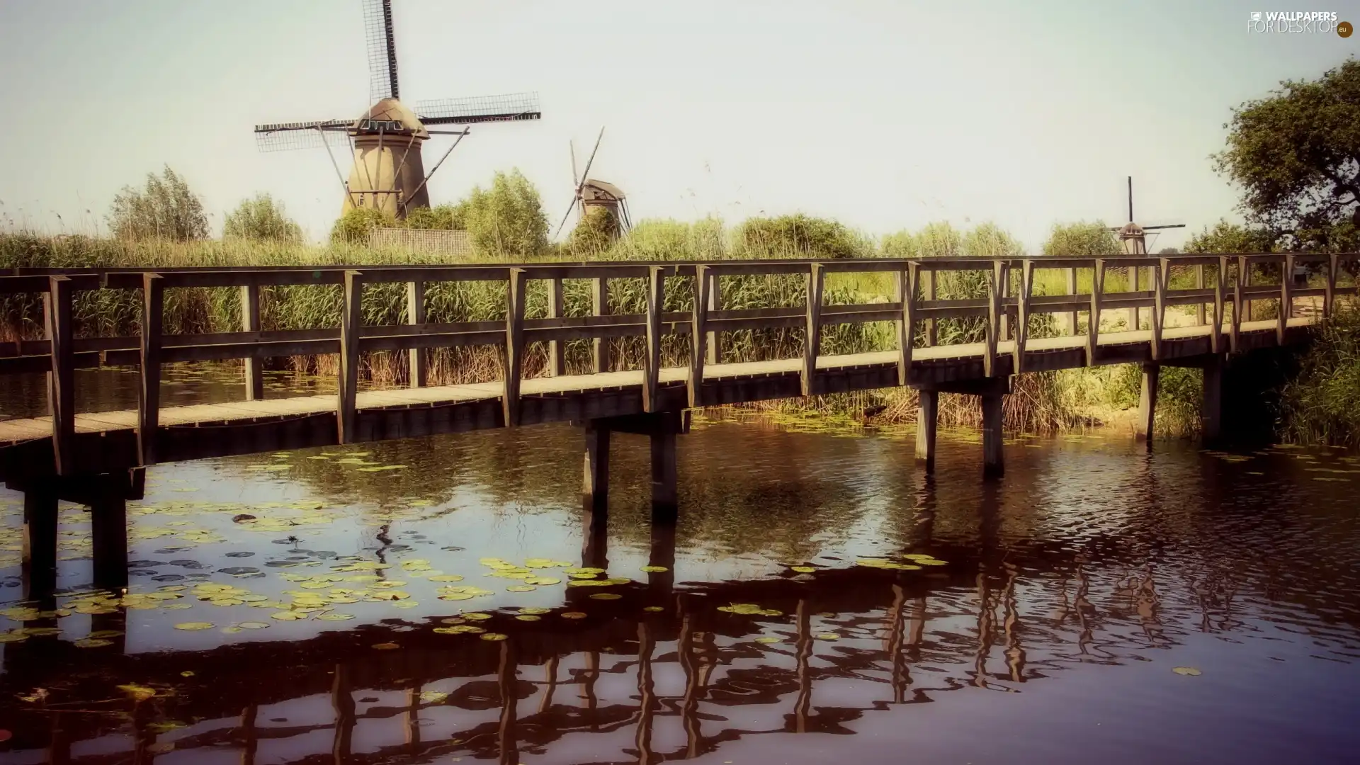 River, Windmills, bridge