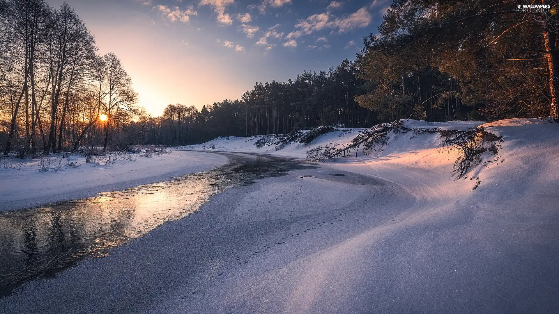 snow, snowy, viewes, River, winter, trees, Sunrise