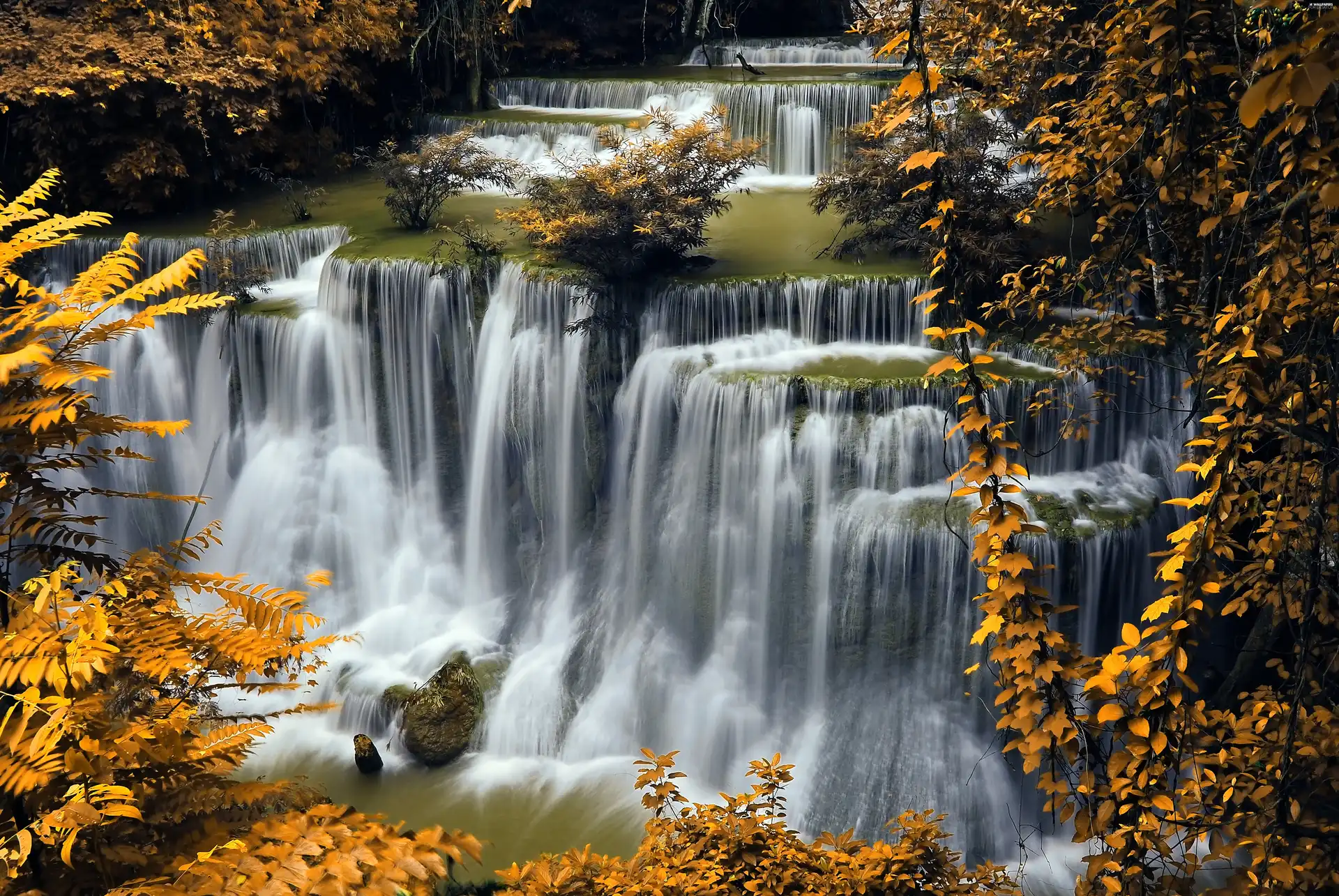 River, autumn, waterfall