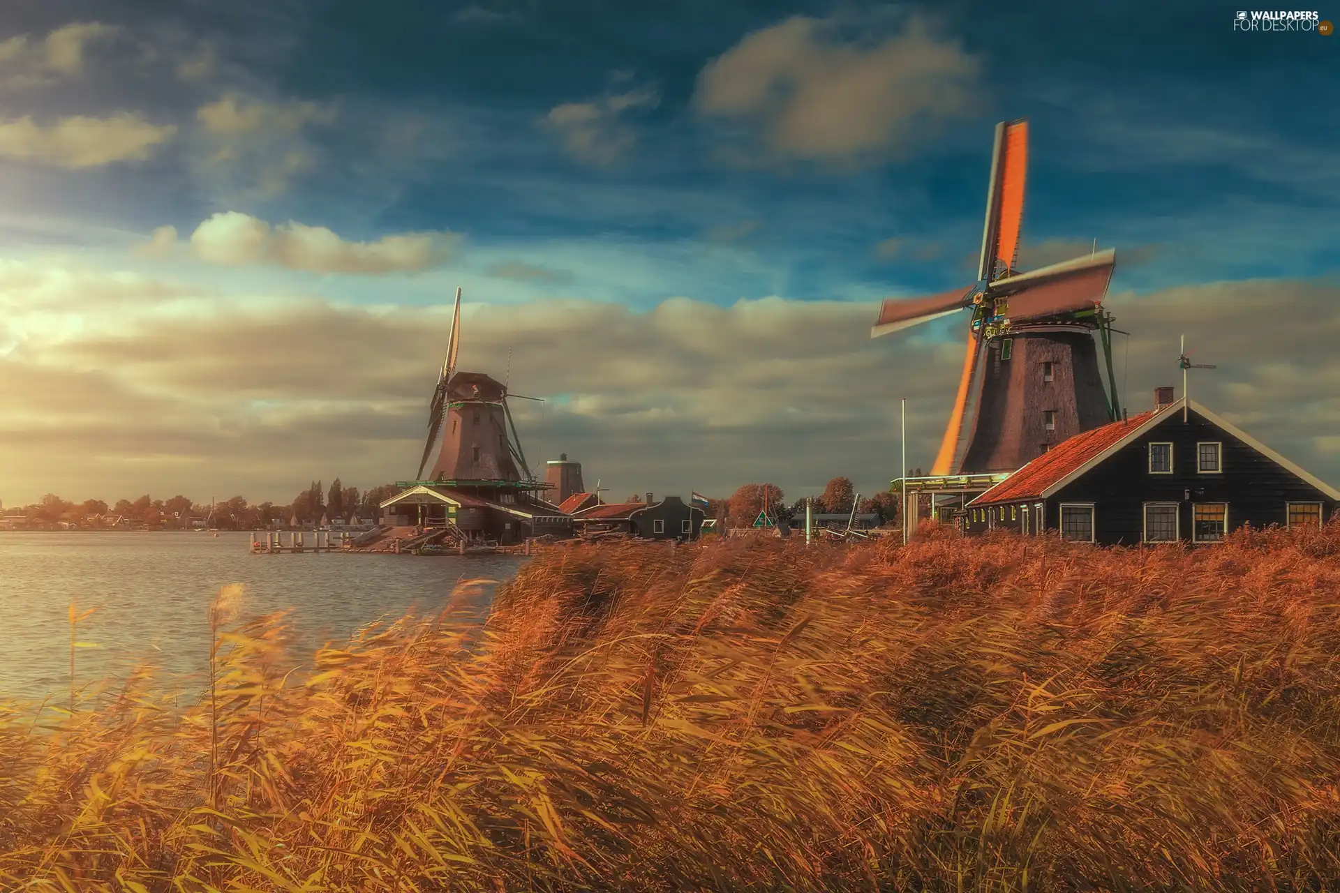 River Zaan, grass, Netherlands, Skansen, Zaandam, Houses, Windmills, Zaanse Schans
