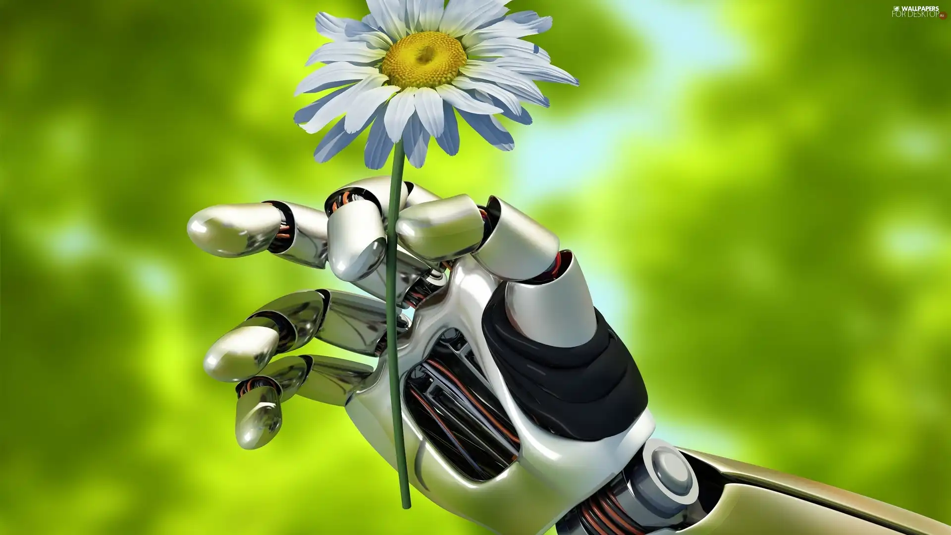 Robot, 3D, Margarytka, hand, Flower