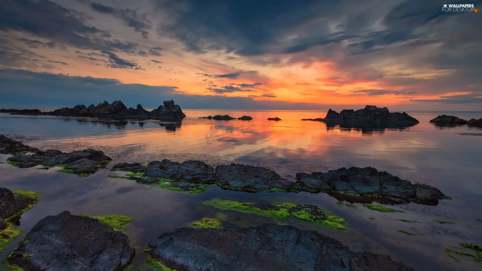 sea, rocks, algae, Great Sunsets