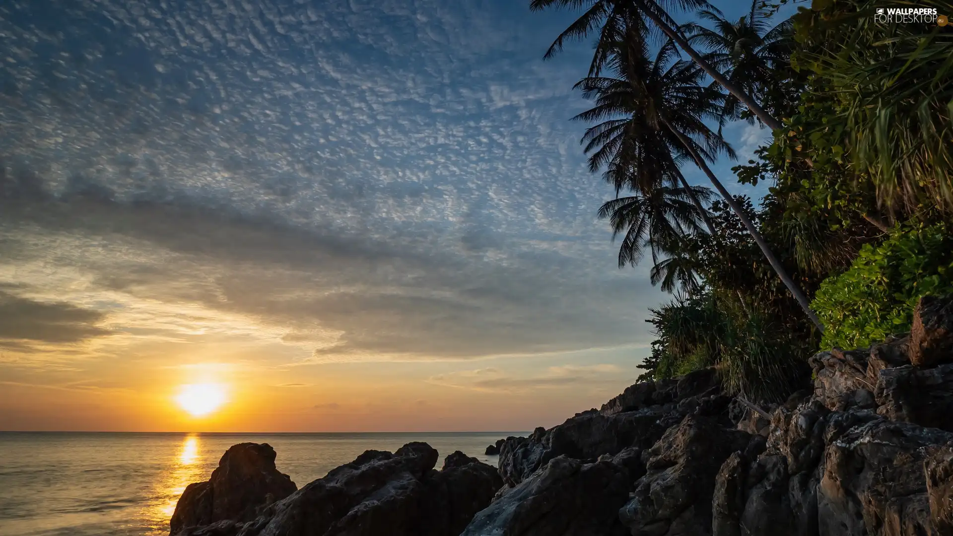Great Sunsets, clouds, rocks, Palms, sea