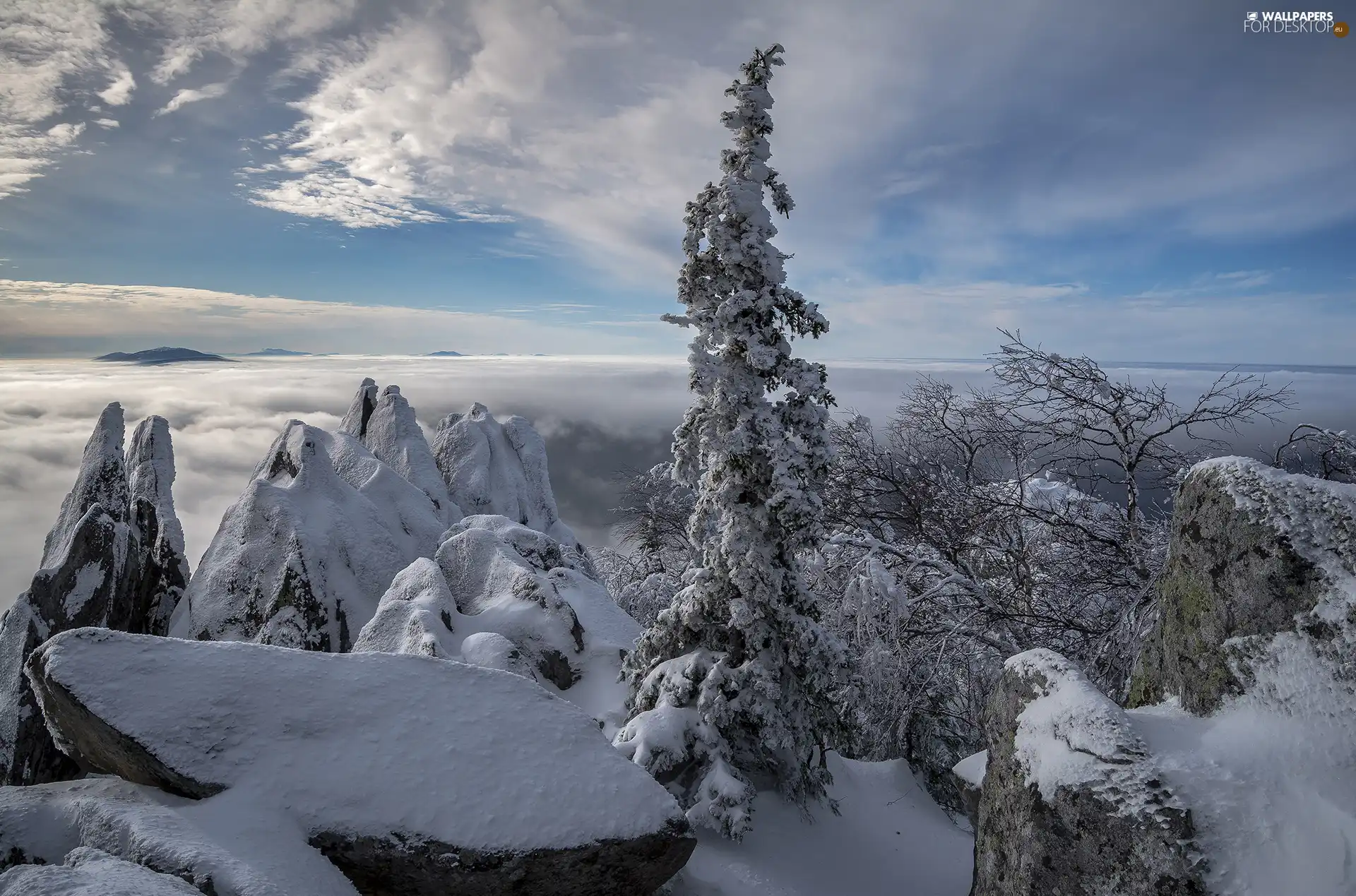 viewes, Mountains, winter, rocks, Fog, trees