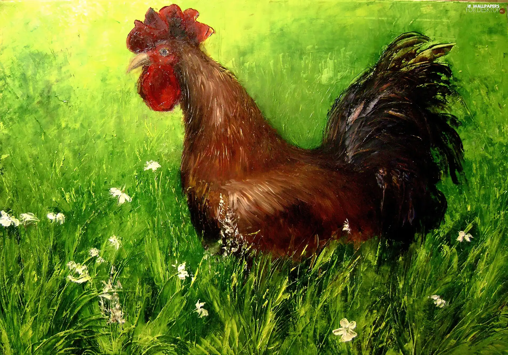 painting, Daniel Ablewicz, rooster, picture