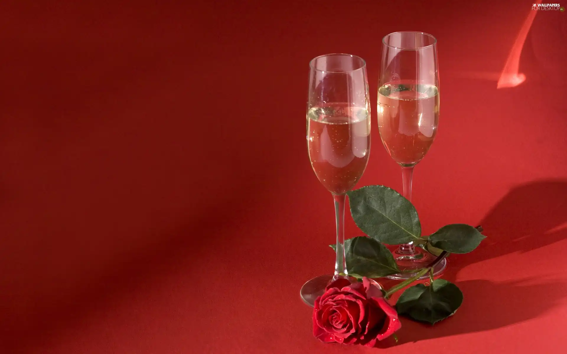 roses, Champagne, Valentine