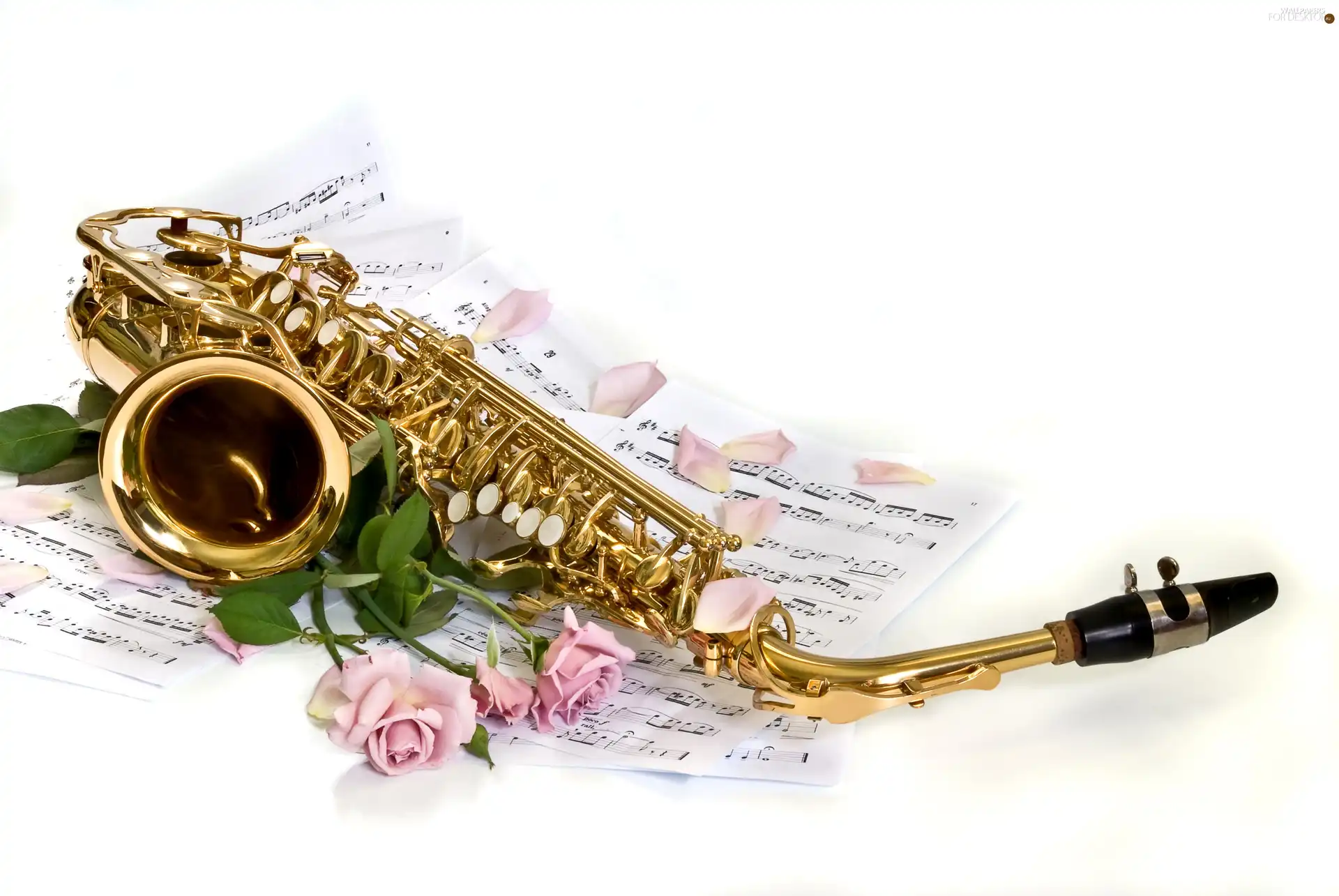 roses, saxophone, Tunes