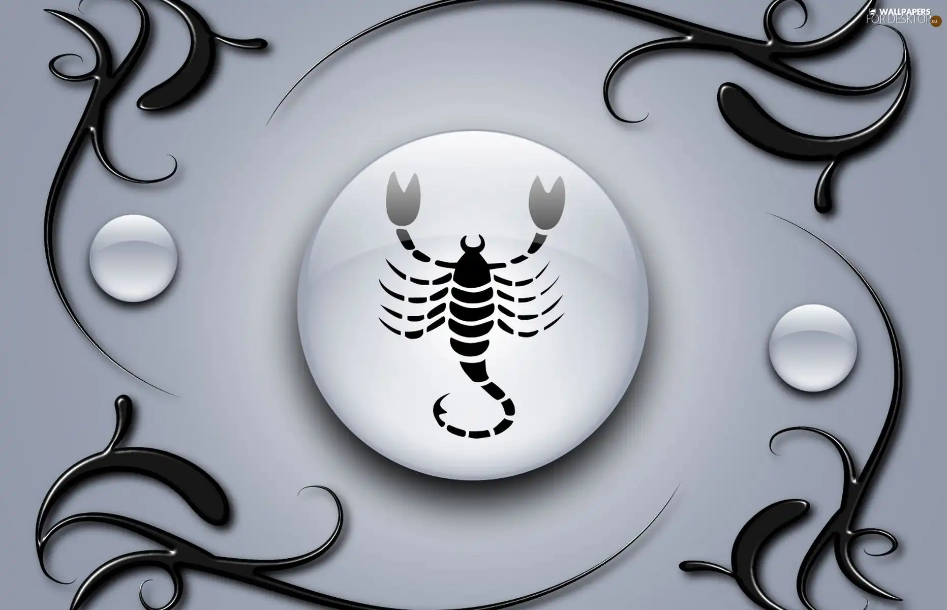 Scorpion, Sign, Zodiac