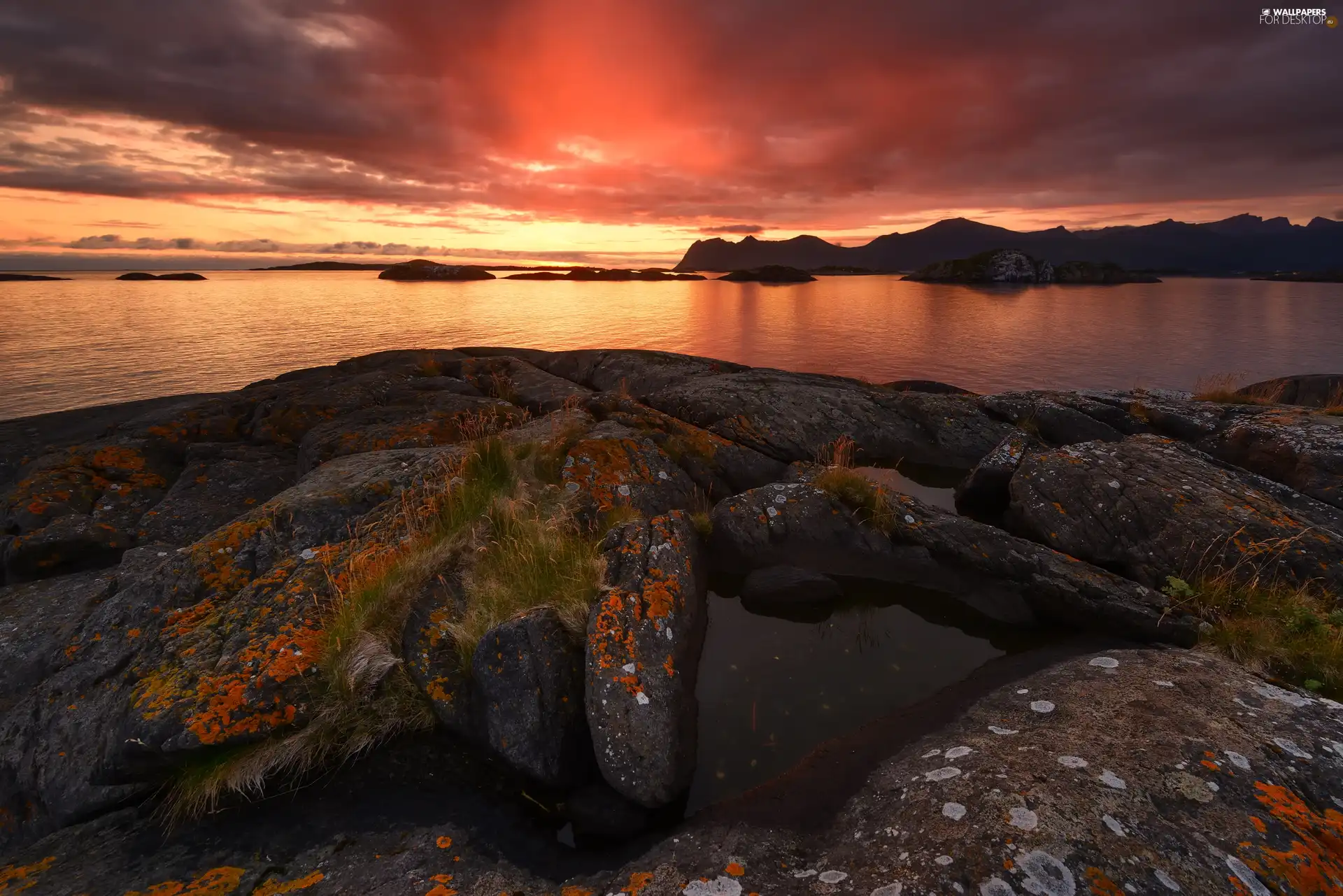 rocks, Great Sunsets, Senja Island, Norway, Plants, sea