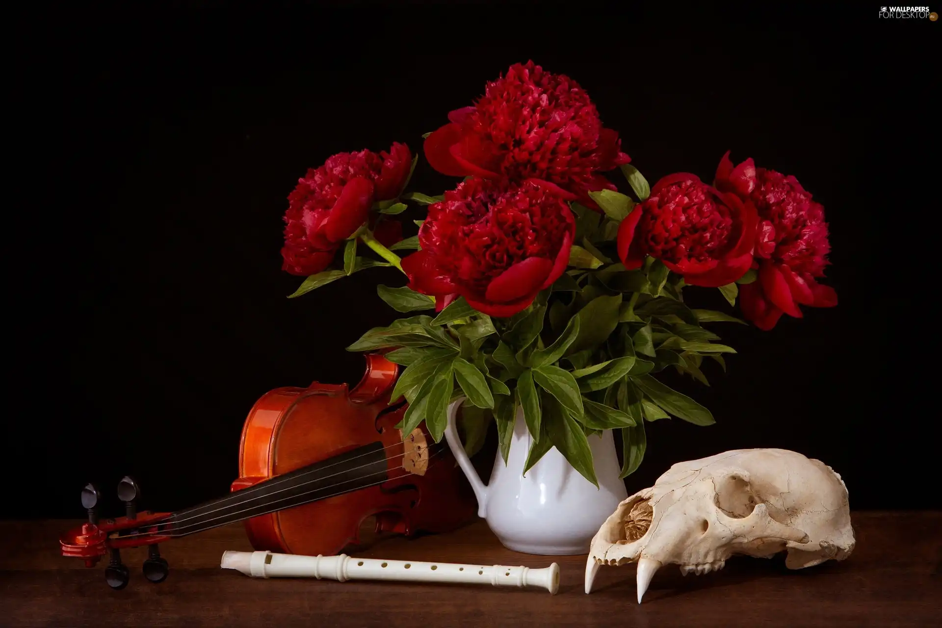 skull, compositions, Peonies, violin, Flowers