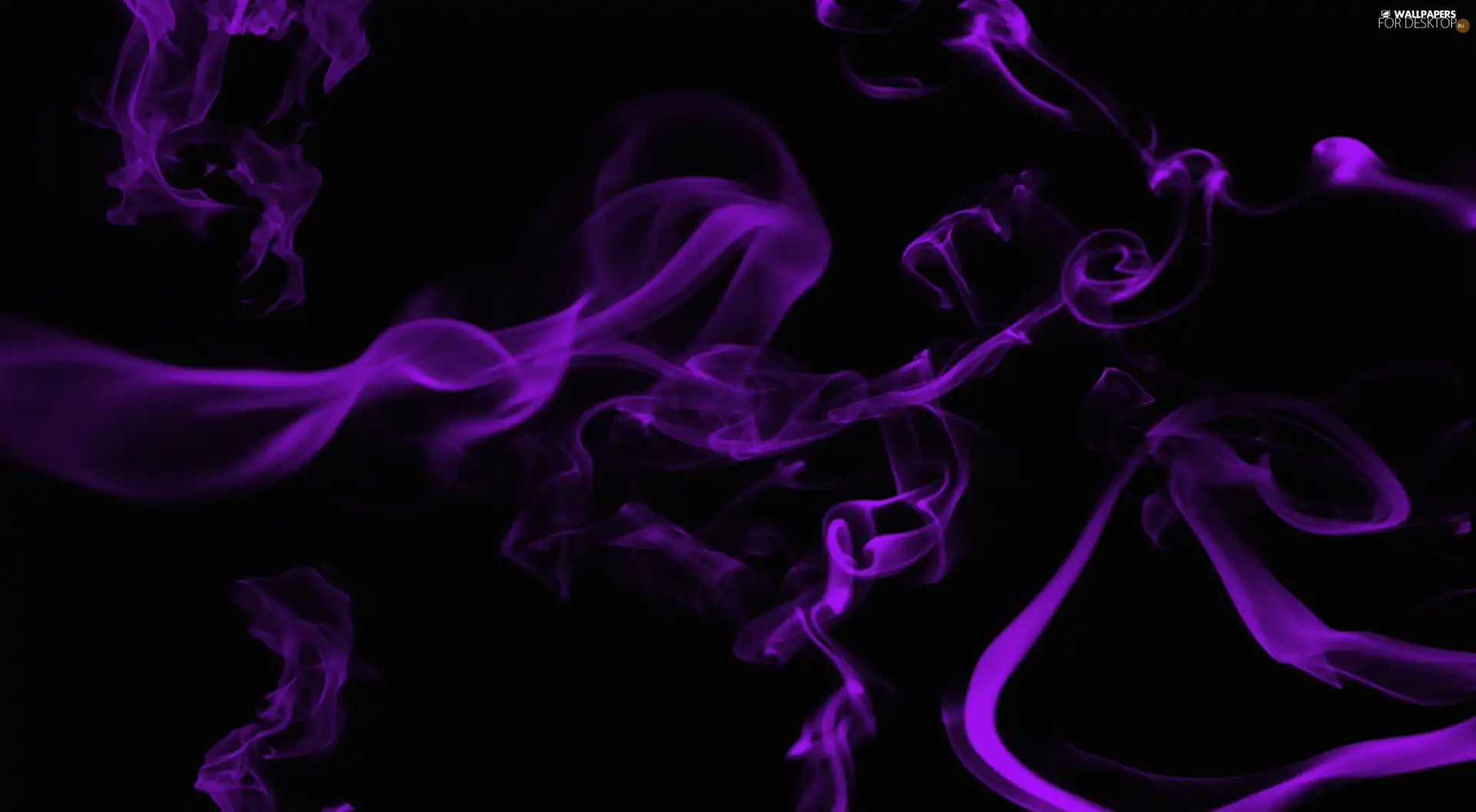 Violet, smoke