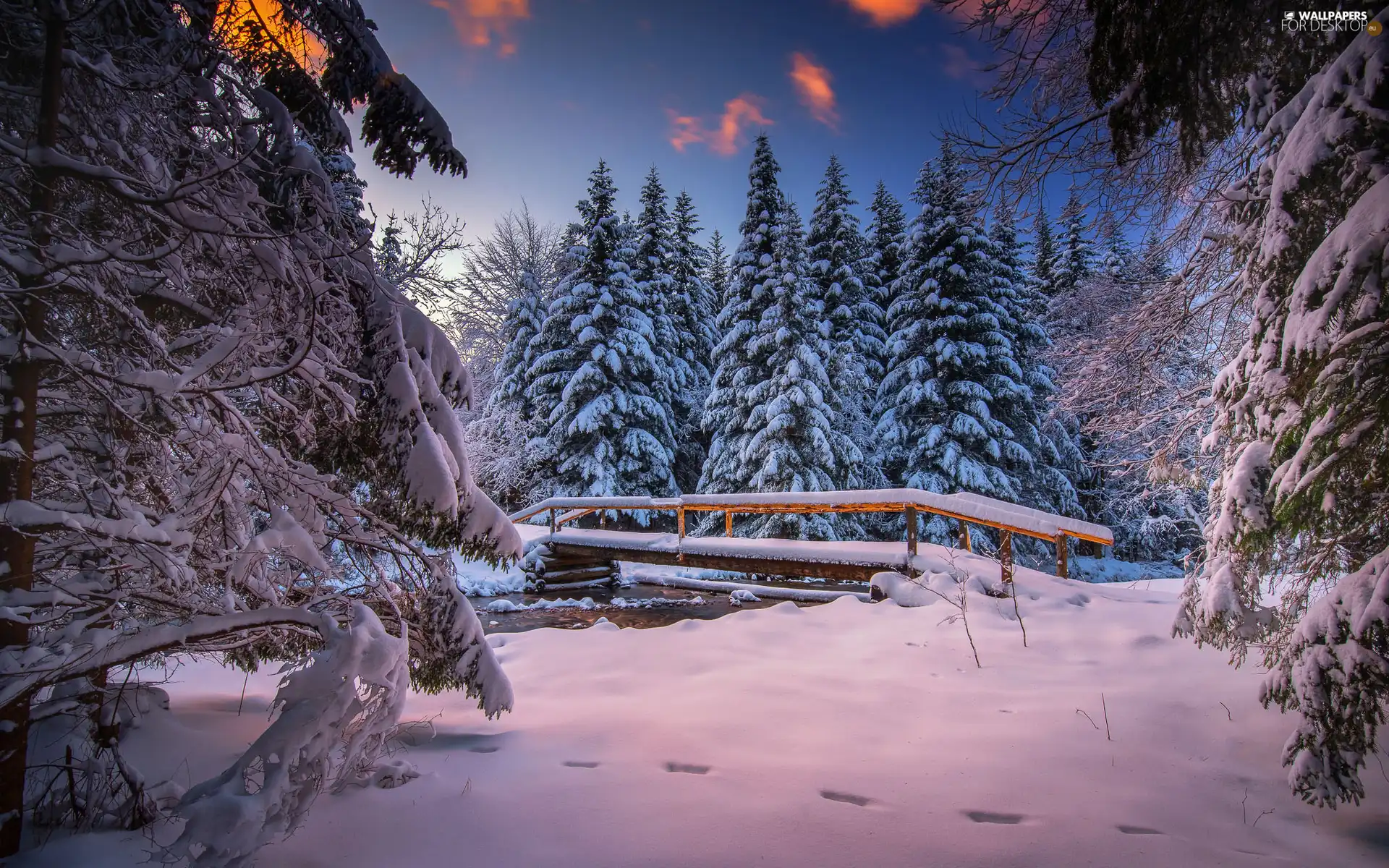 snow, winter, trees, viewes, bridges, River, bridge, wooden, forest