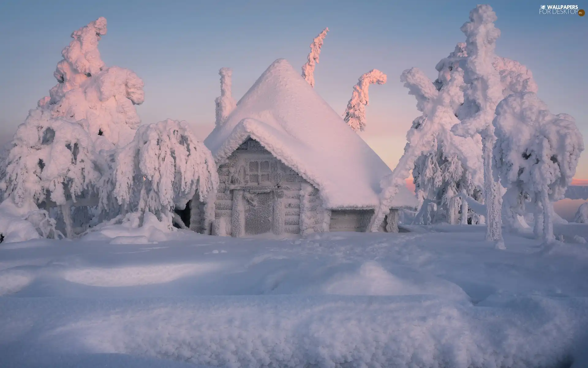 house, winter, viewes, snow, trees, snowy