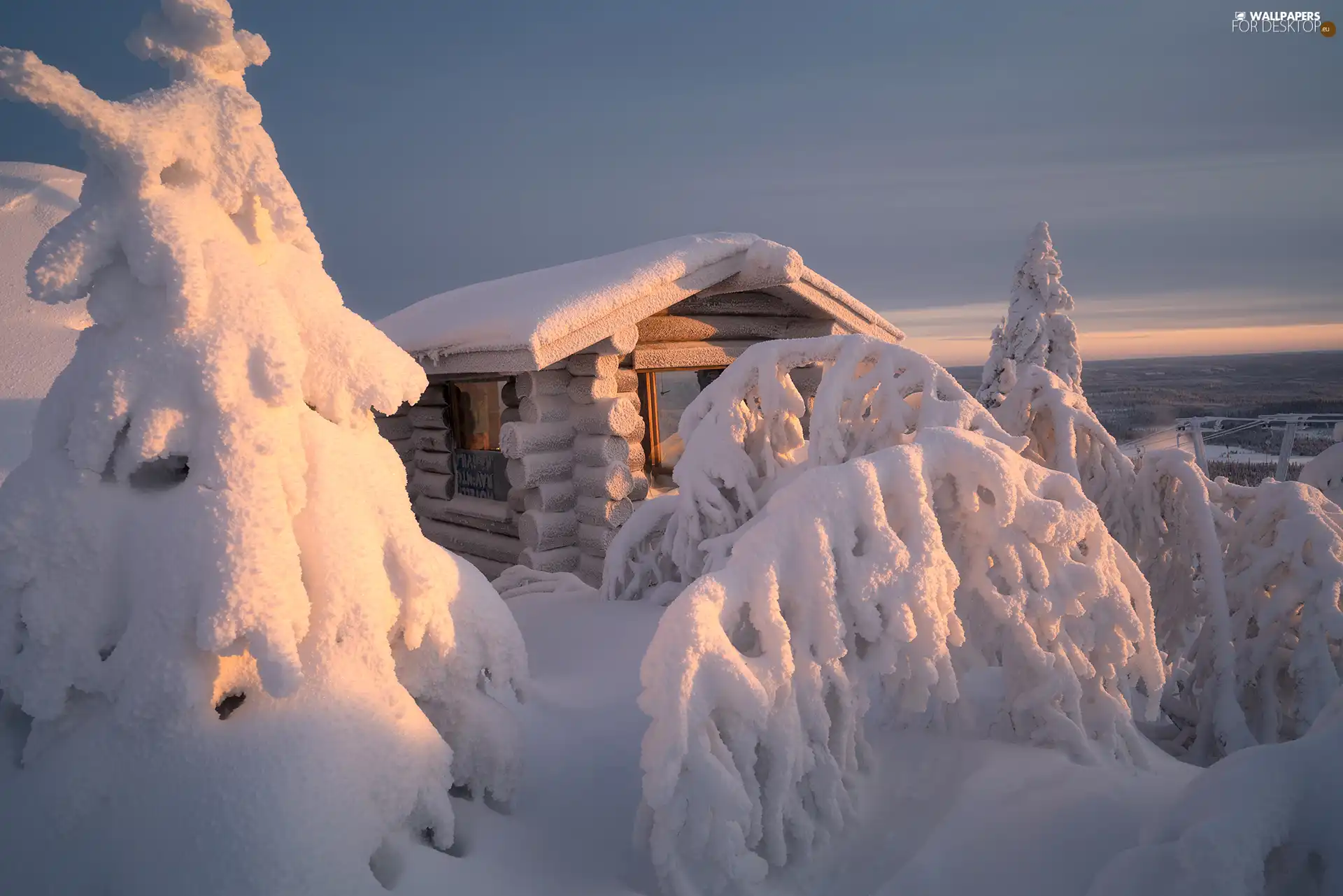 viewes, winter, house, snow, wooden, trees