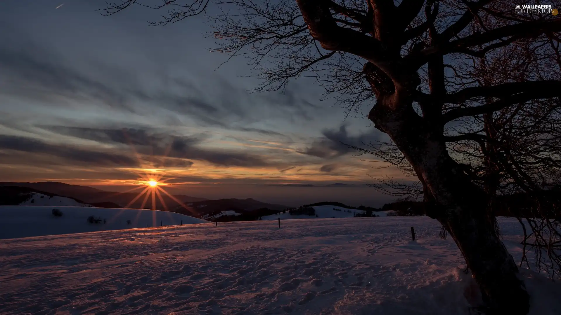 snow, Great Sunsets, rays of the Sun, clouds, trees, winter