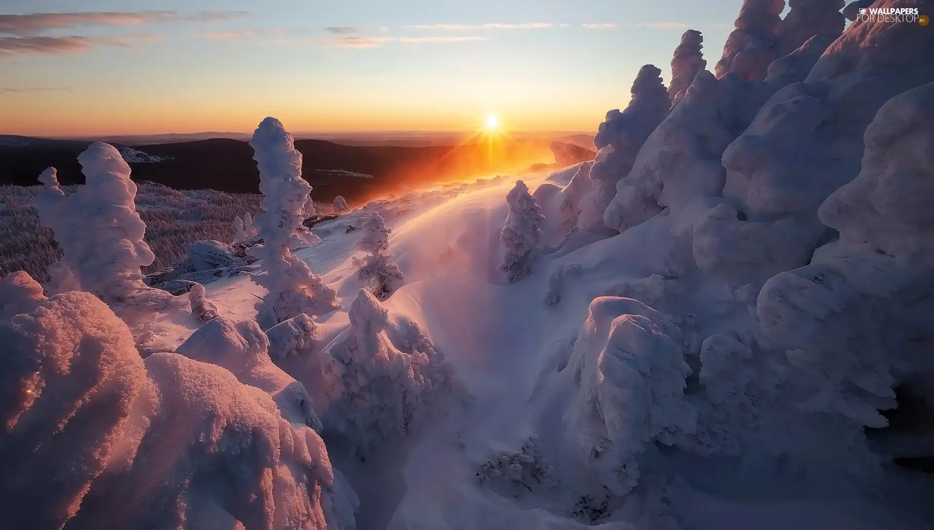 trees, Mountains, rays of the Sun, snowy, winter, viewes, Great Sunsets