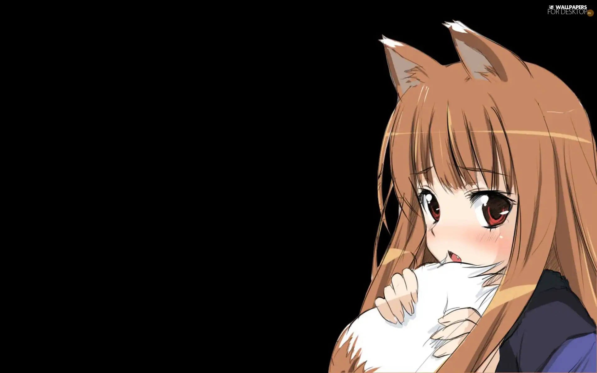 form, Spice and Wolf