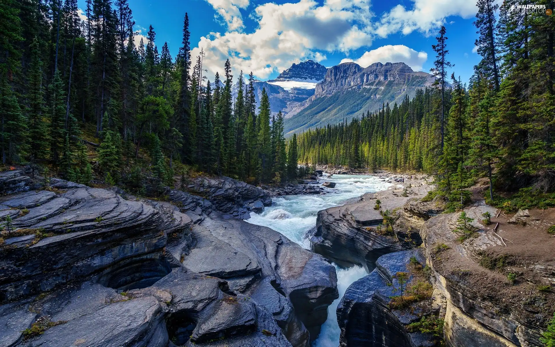 River, Mountains, viewes, Spruces, trees, rocks
