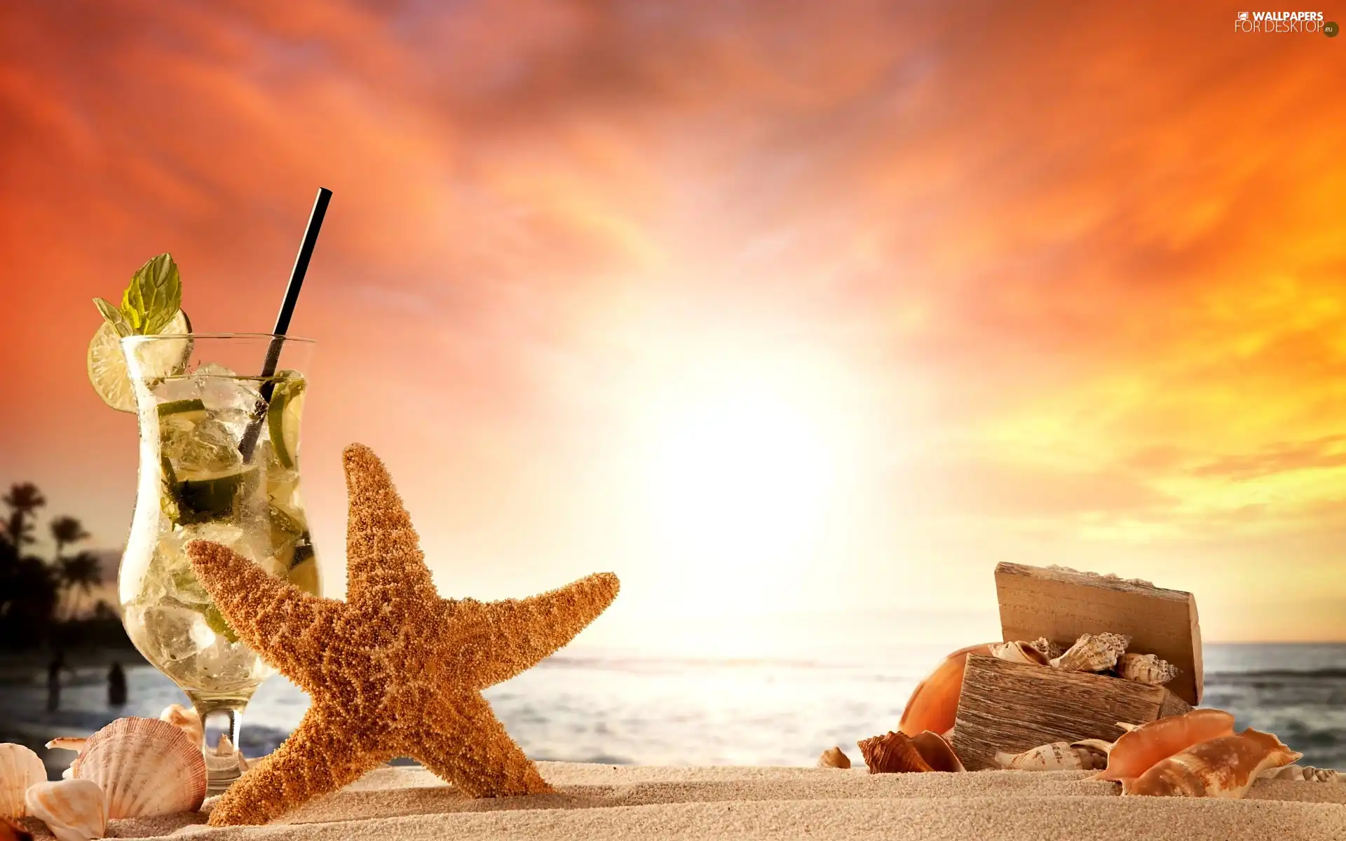 composition, Great Sunsets, Drink Mojito, starfish, Beaches