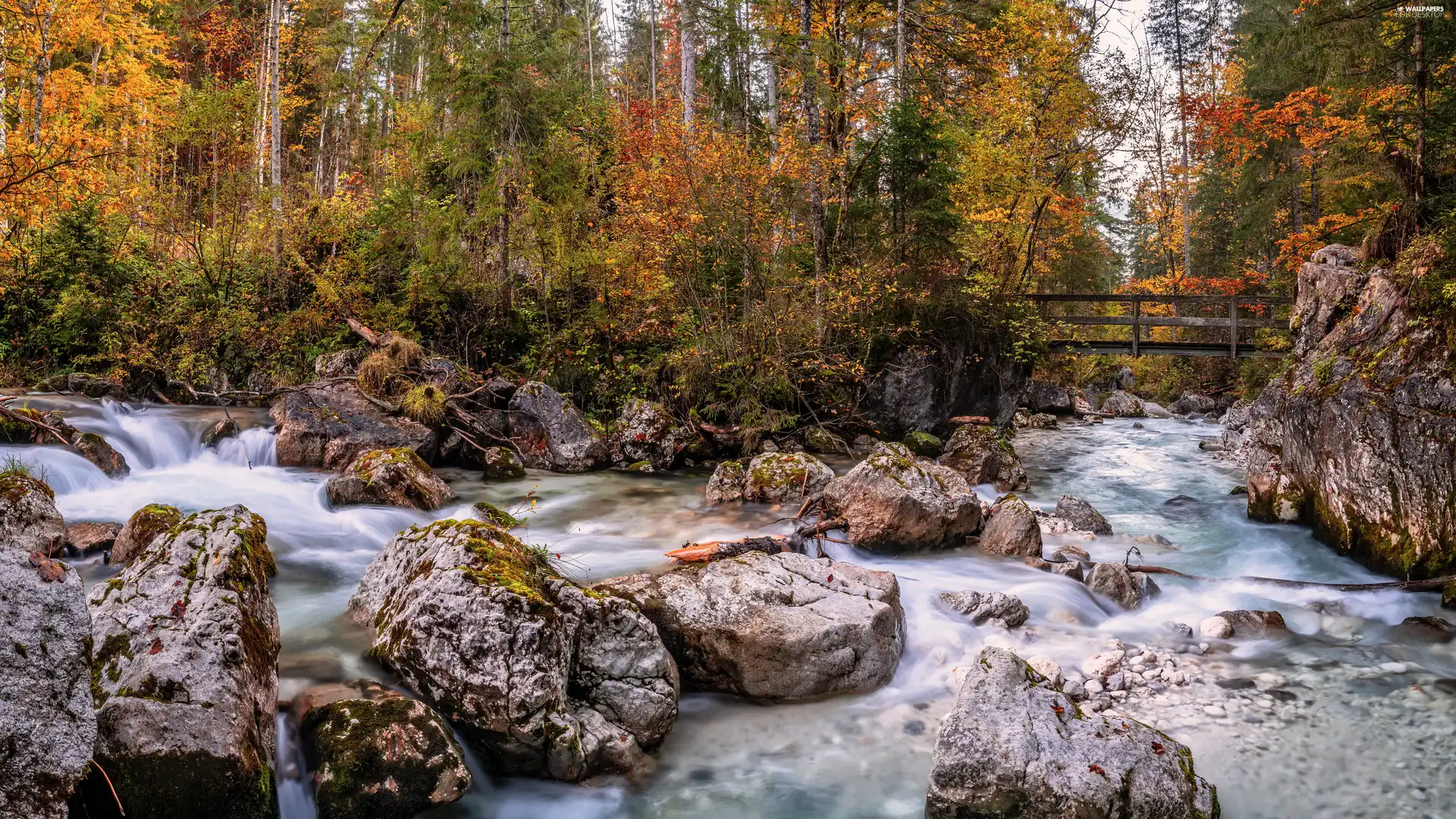 River, Stones, bridges, forest, autumn