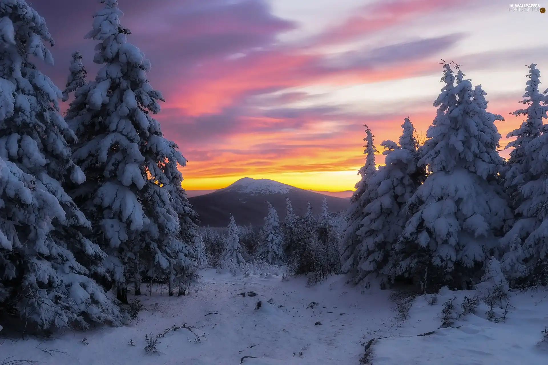 Snowy, winter, viewes, Sunrise, trees, Mountains
