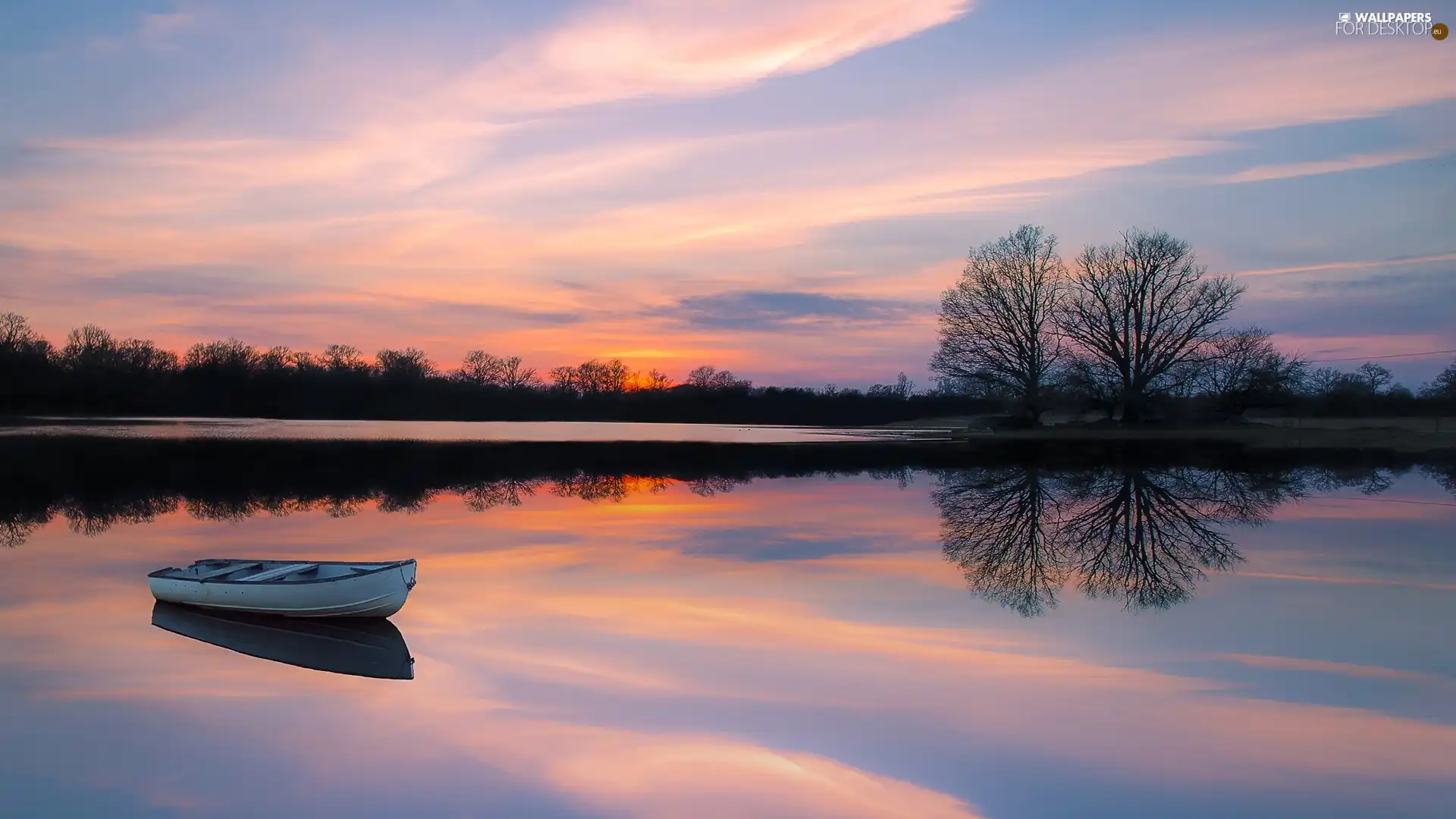 trees, lake, Great Sunsets, reflection, viewes, Boat