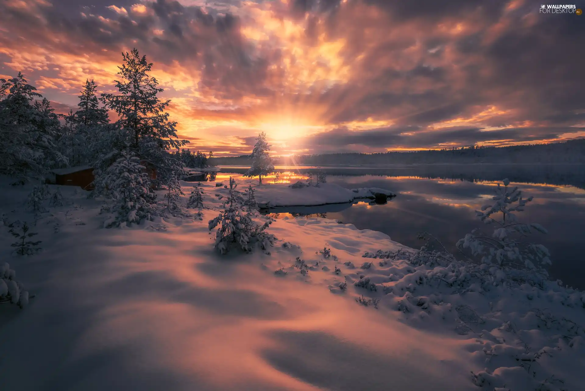 lake, Ringerike, viewes, winter, Norway, trees, Great Sunsets