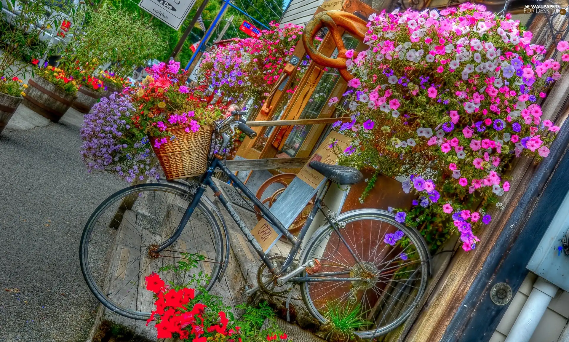 florist, Flowers, Surfinie, Bike